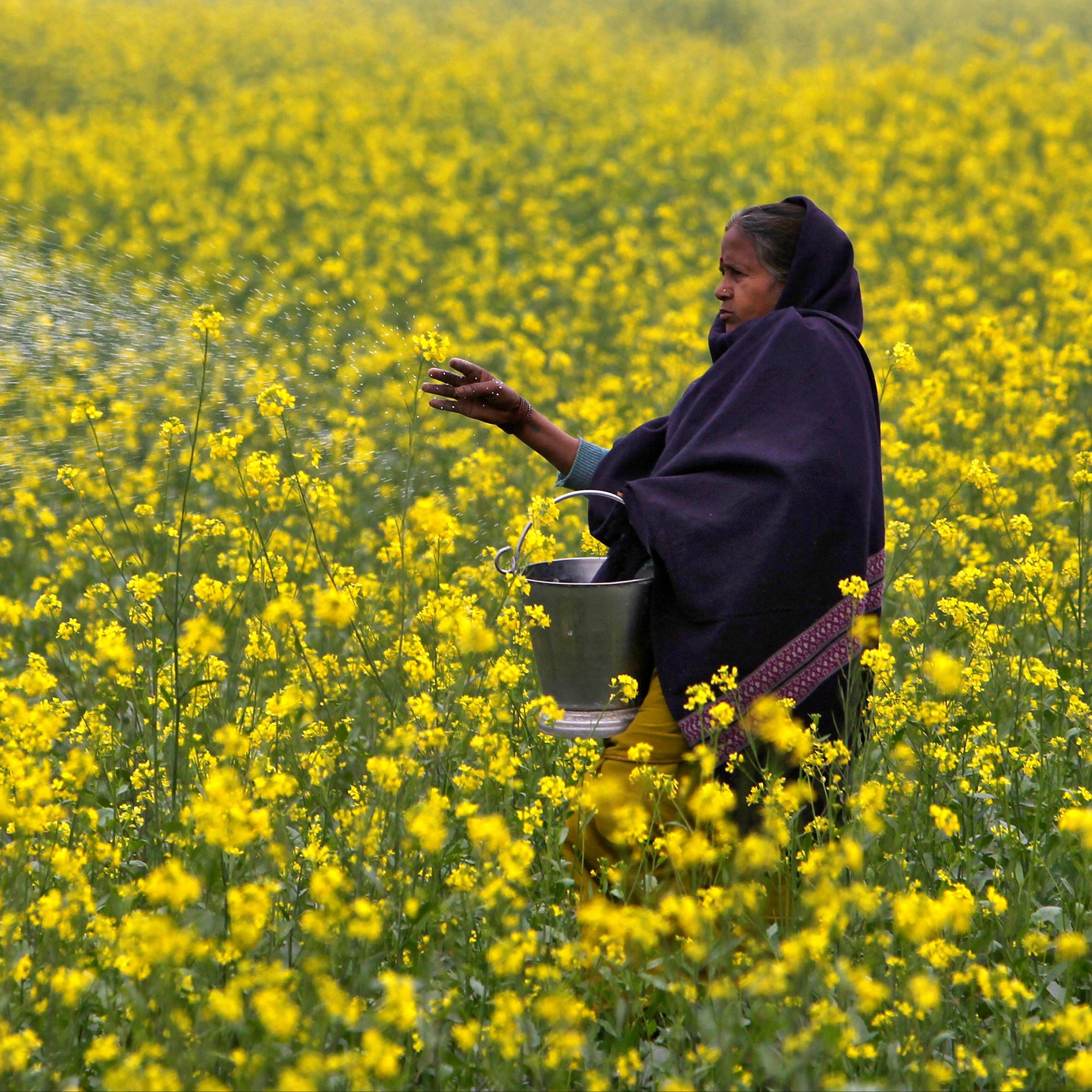 Cinco Continentes - Las consecuencias del bloqueo de Ormuz sobre los más pobres