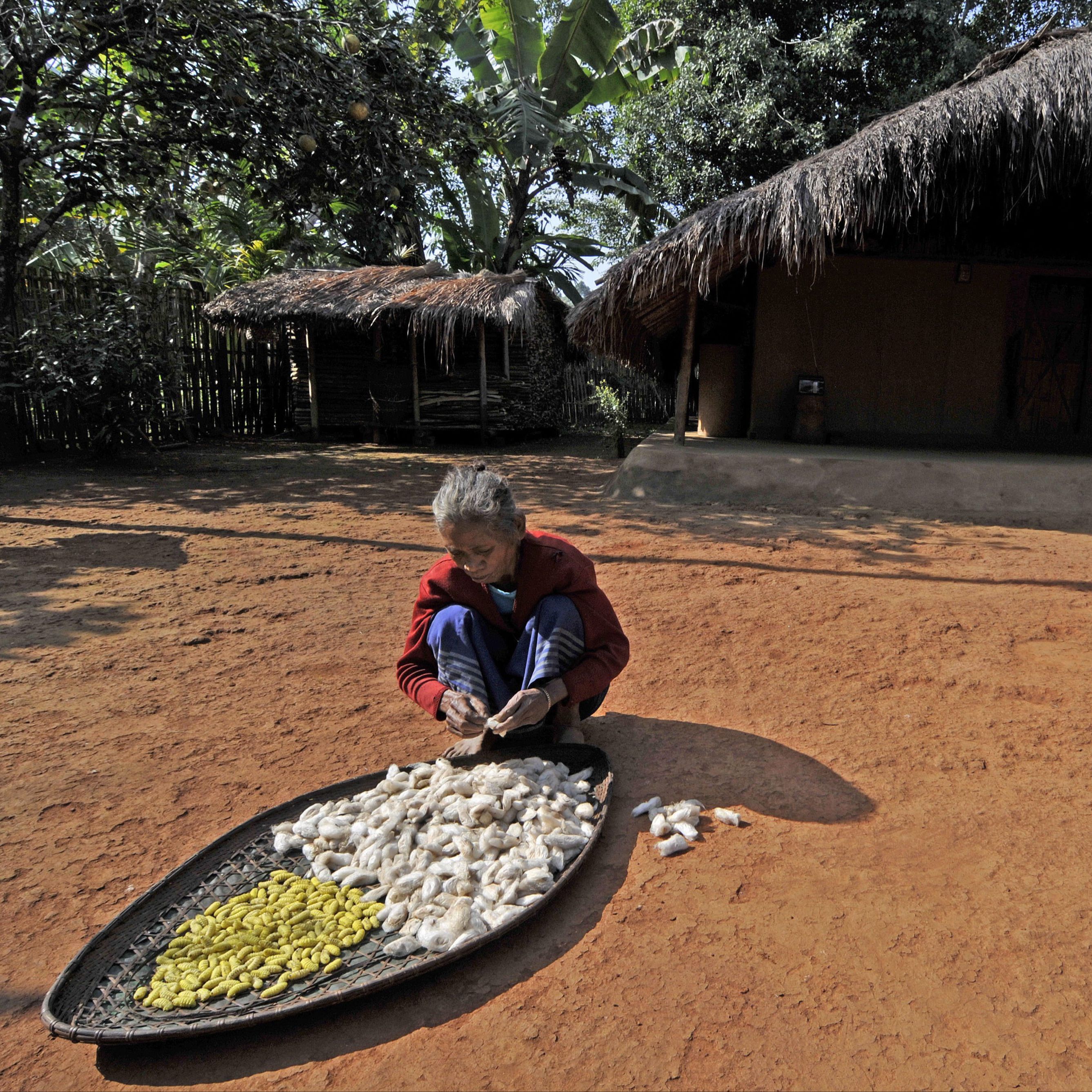 Cinco continentes - Mujeres rurales que lideran el cambio en India