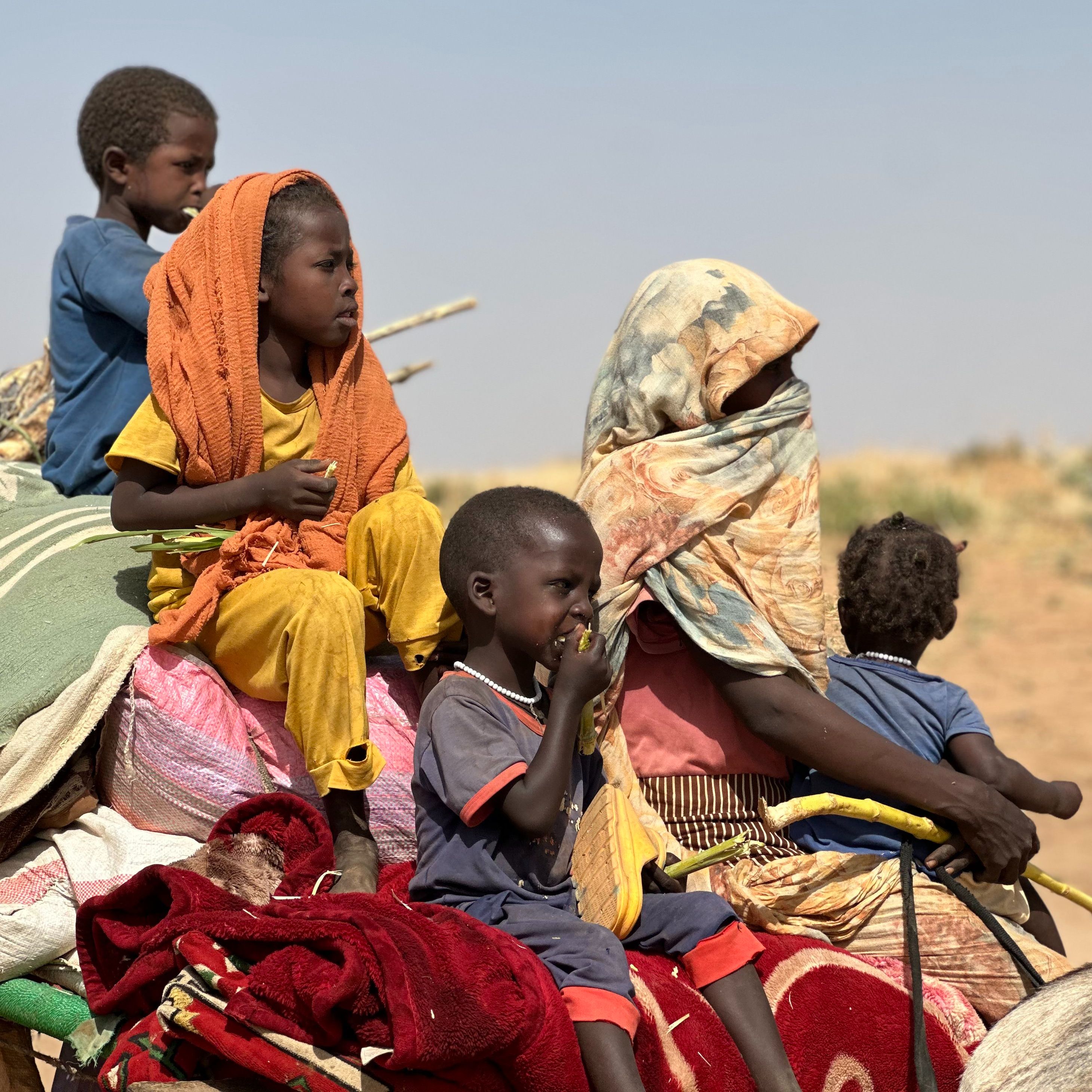 Cinco continentes - La situación política en Sudán tres años después del inicio de la guerra