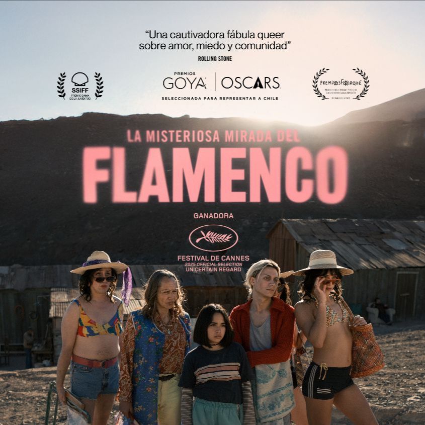 De cine - 'La misteriosa mirada del flamenco', nominada Goya Iberoamericano - 18/01/26