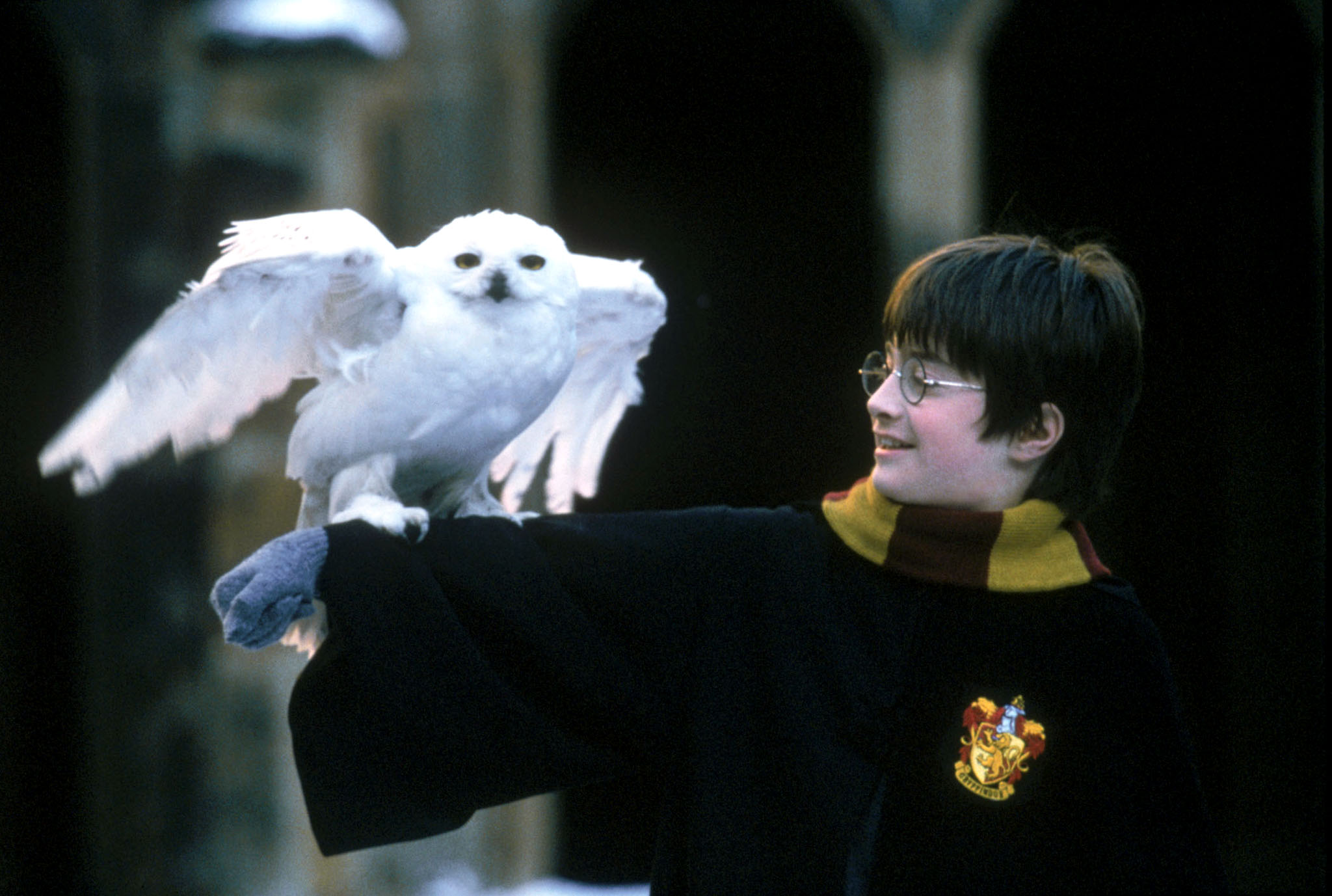 Comienzan las aventuras de Harry Comienzan las aventuras de Harry
