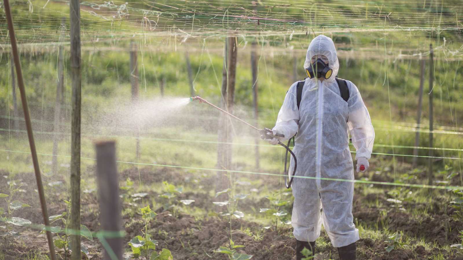 Bruselas renovará la autorización del herbicida glifosato otros 10 años -  El Periódico