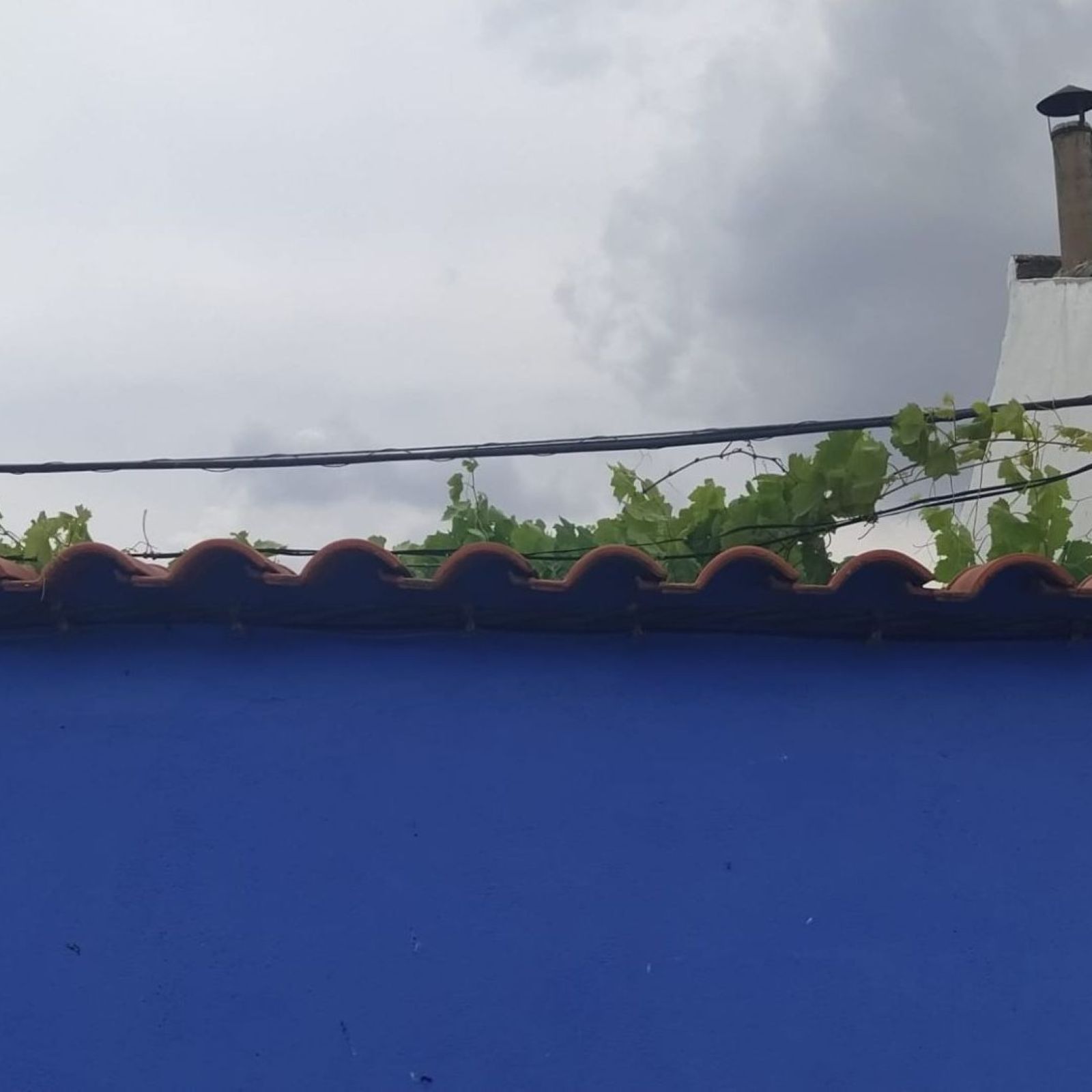 El bosque habitado - ¿Cómo vai o mundo? Lo público esencial, con Jaime Izquierdo - 15/02/26 El bosque habitado - ¿Cómo vai o mundo? Lo público esencial, con Jaime Izquierdo - 15/02/26