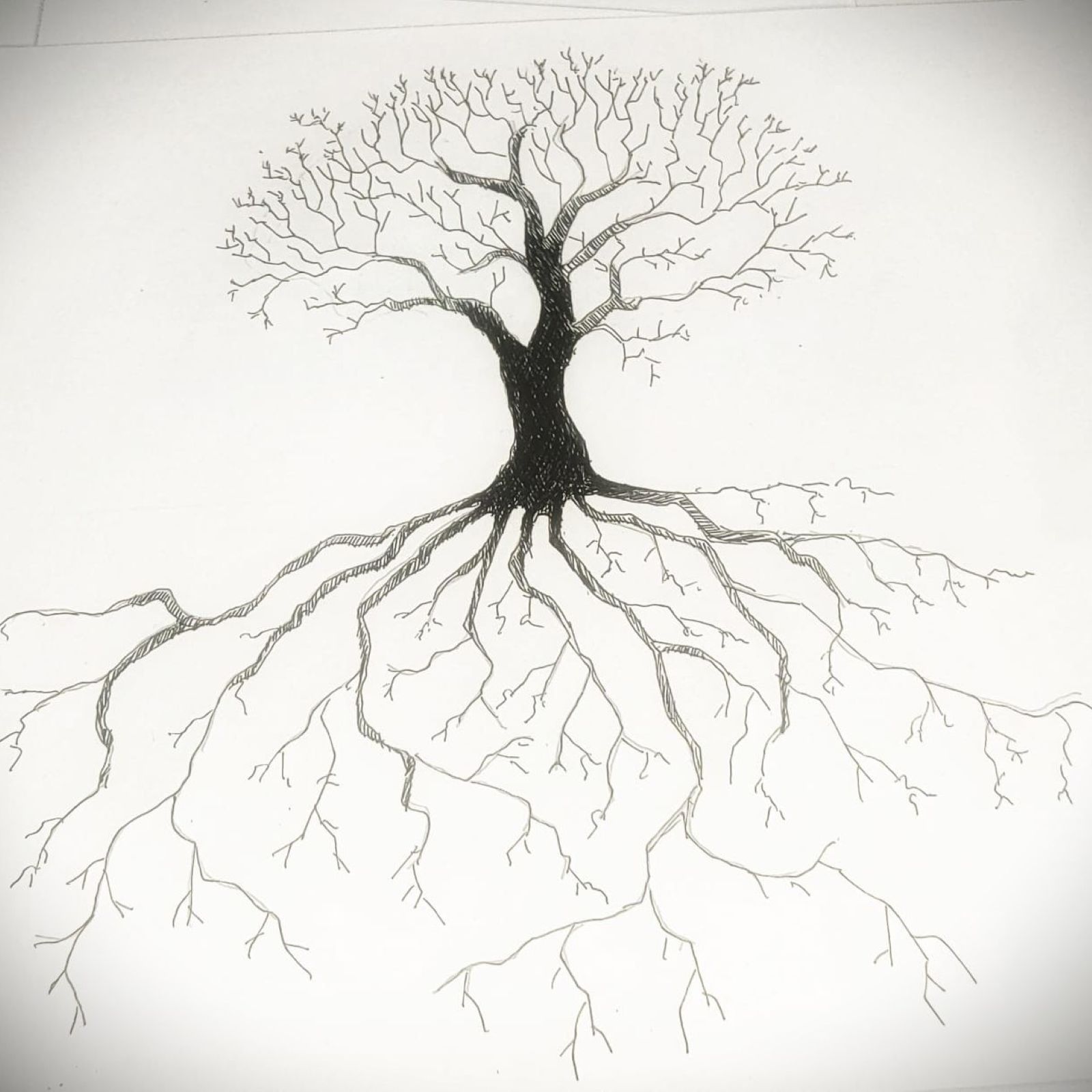 El bosque habitado - La compañía de los árboles. Con Raúl de Tapia y Clara Obligado - 26/10/25