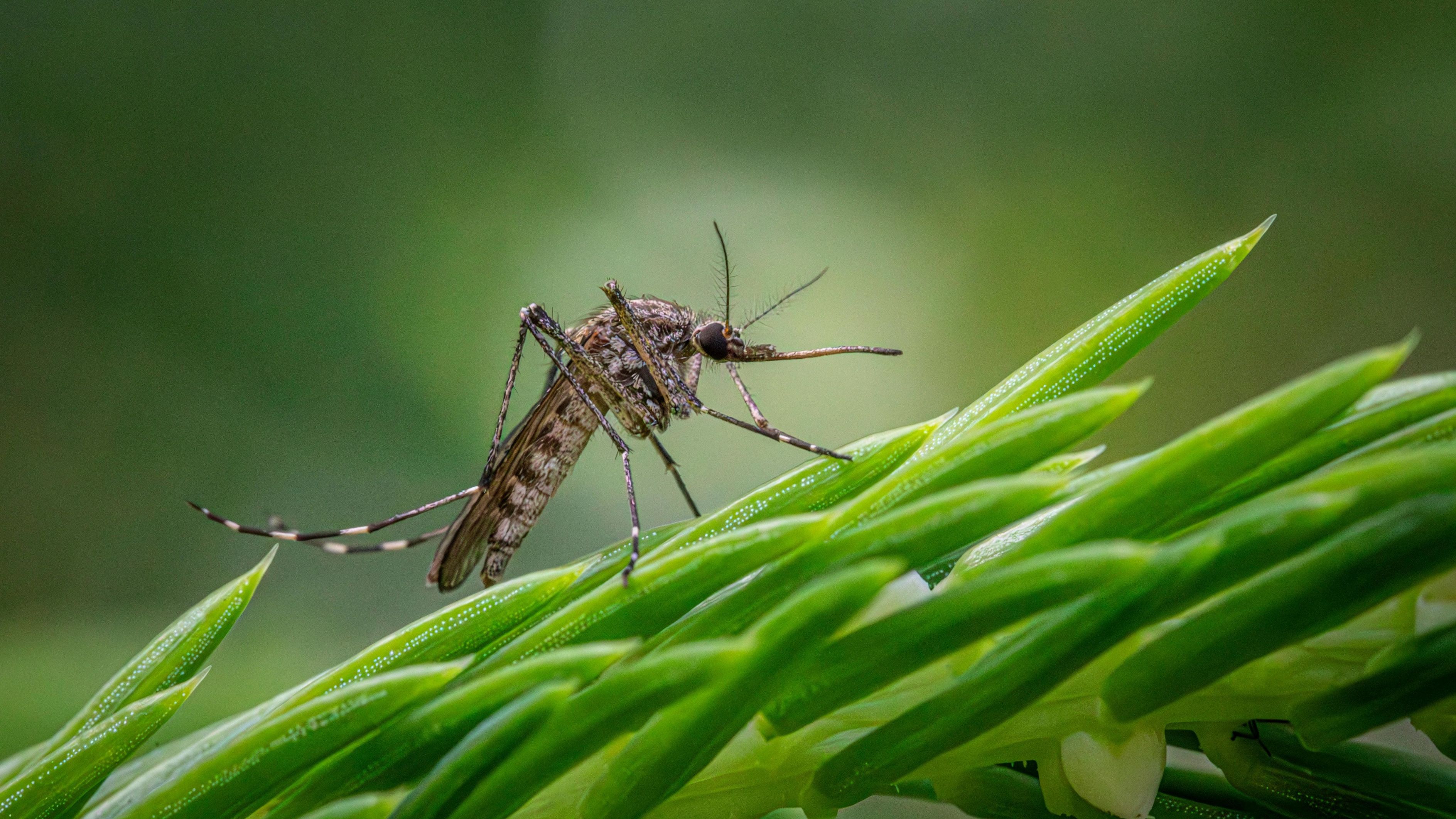 One loss of life and three infections confirmed in Seville