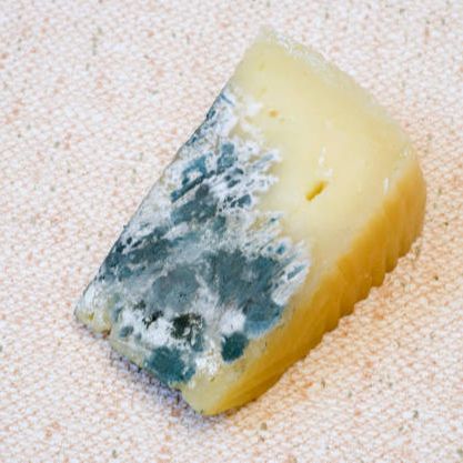 Consumo gusto - La fermentación - 31/03/26