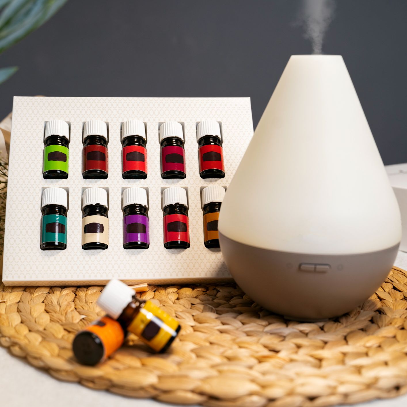 Consumo gusto - ODORAMA - 04/11/25