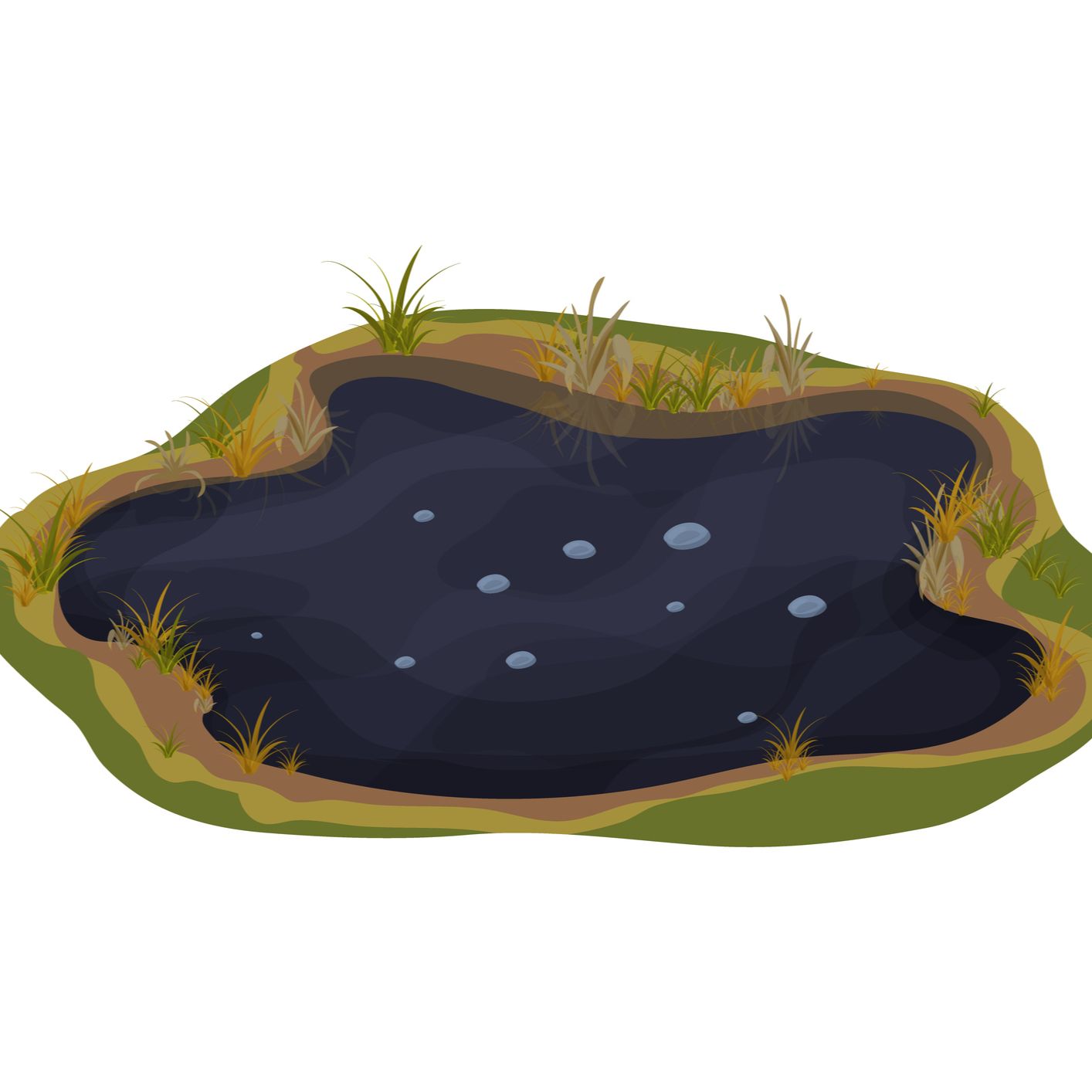 Contando cuentos en Radio 5 - La charca verde - 05/10/25 Contando cuentos en Radio 5 - La charca verde - 05/10/25