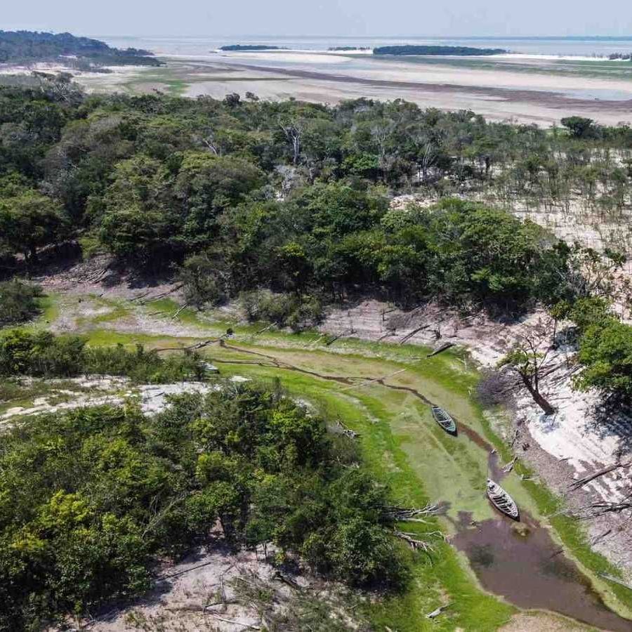 COP 30 a Brasil. Entrevista Jordi Bigues