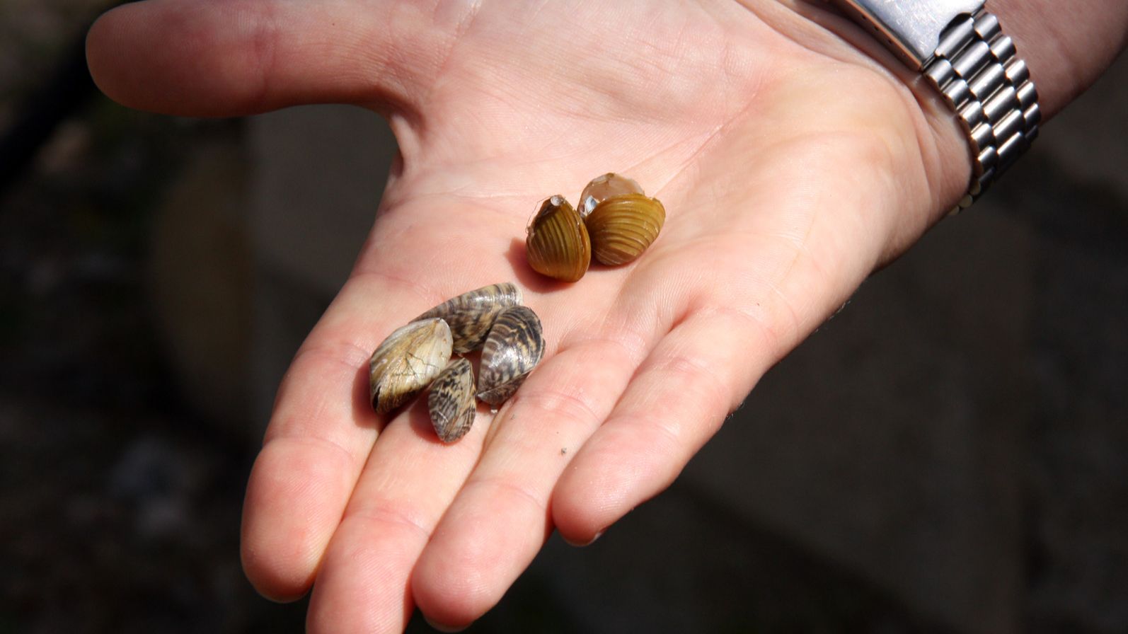 Crítiques per la suspensió de tota activitat a embassaments de Lleida