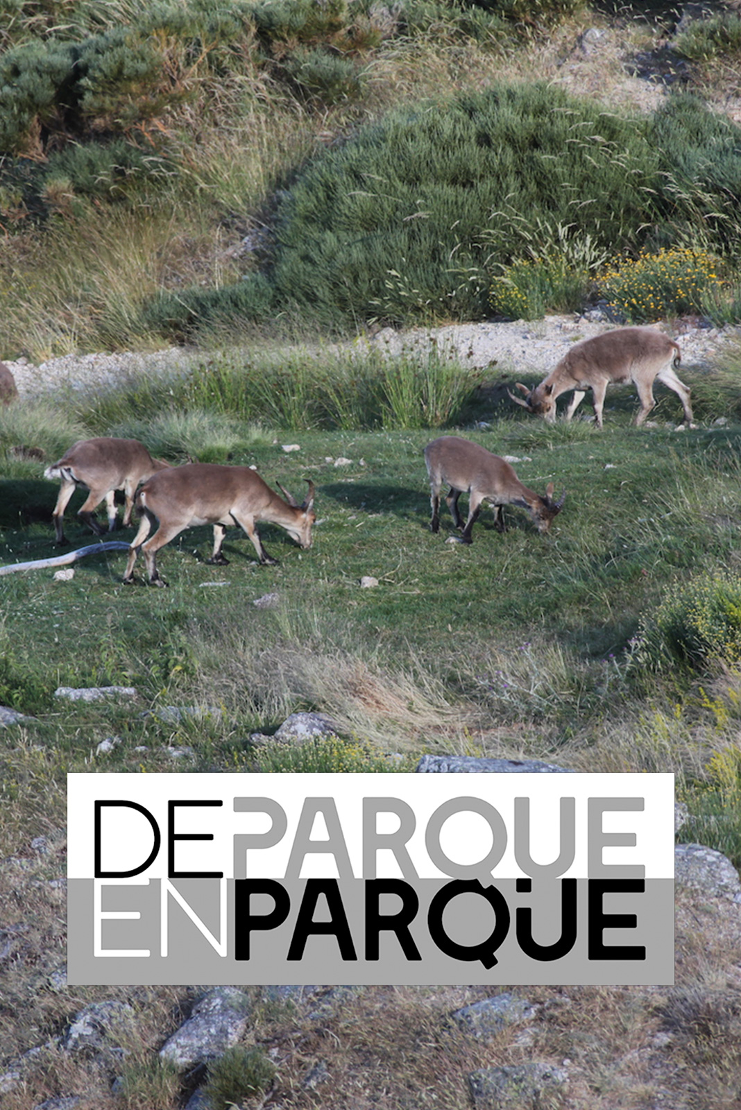 De parque en parque