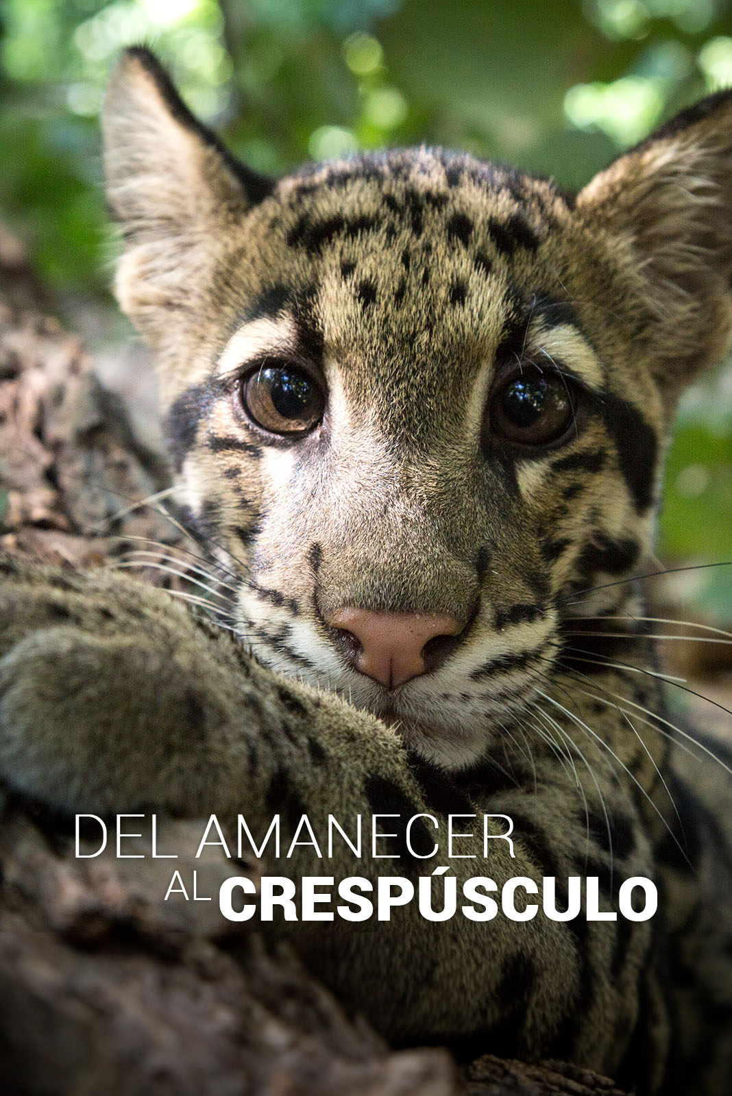 Del amanecer al crepúsculo