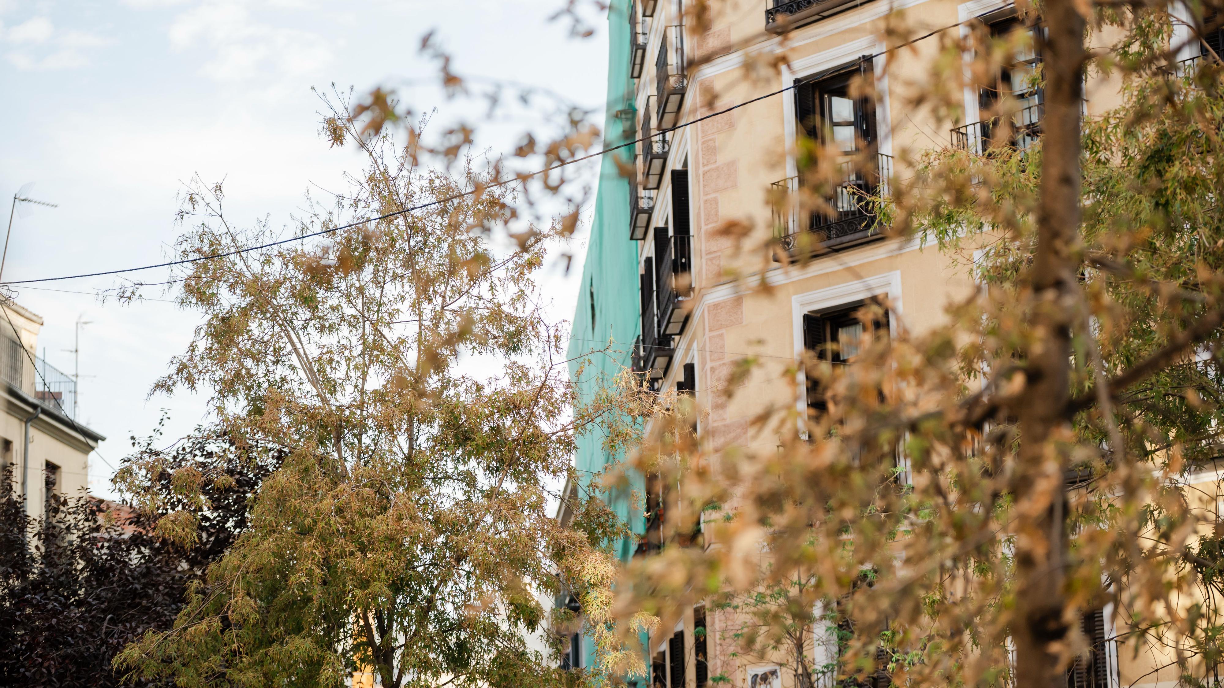 Un colapso en la terraza de la quinta planta inició el derrumbe del edificio de Madrid que dejó cuatro muertos