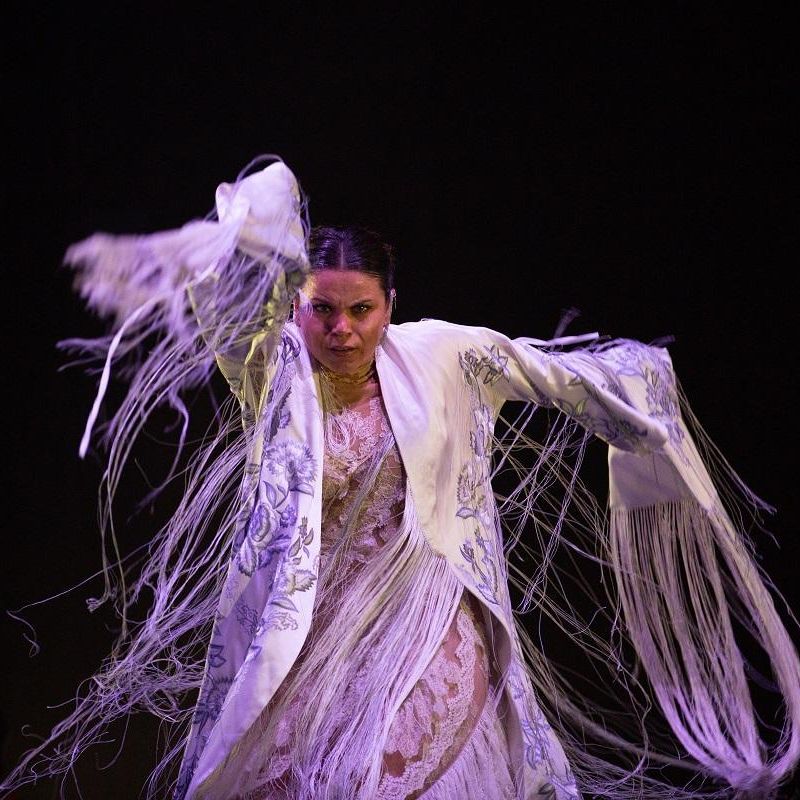 Nuestro flamenco - Desde Nimes, 2026 - 10/02/26