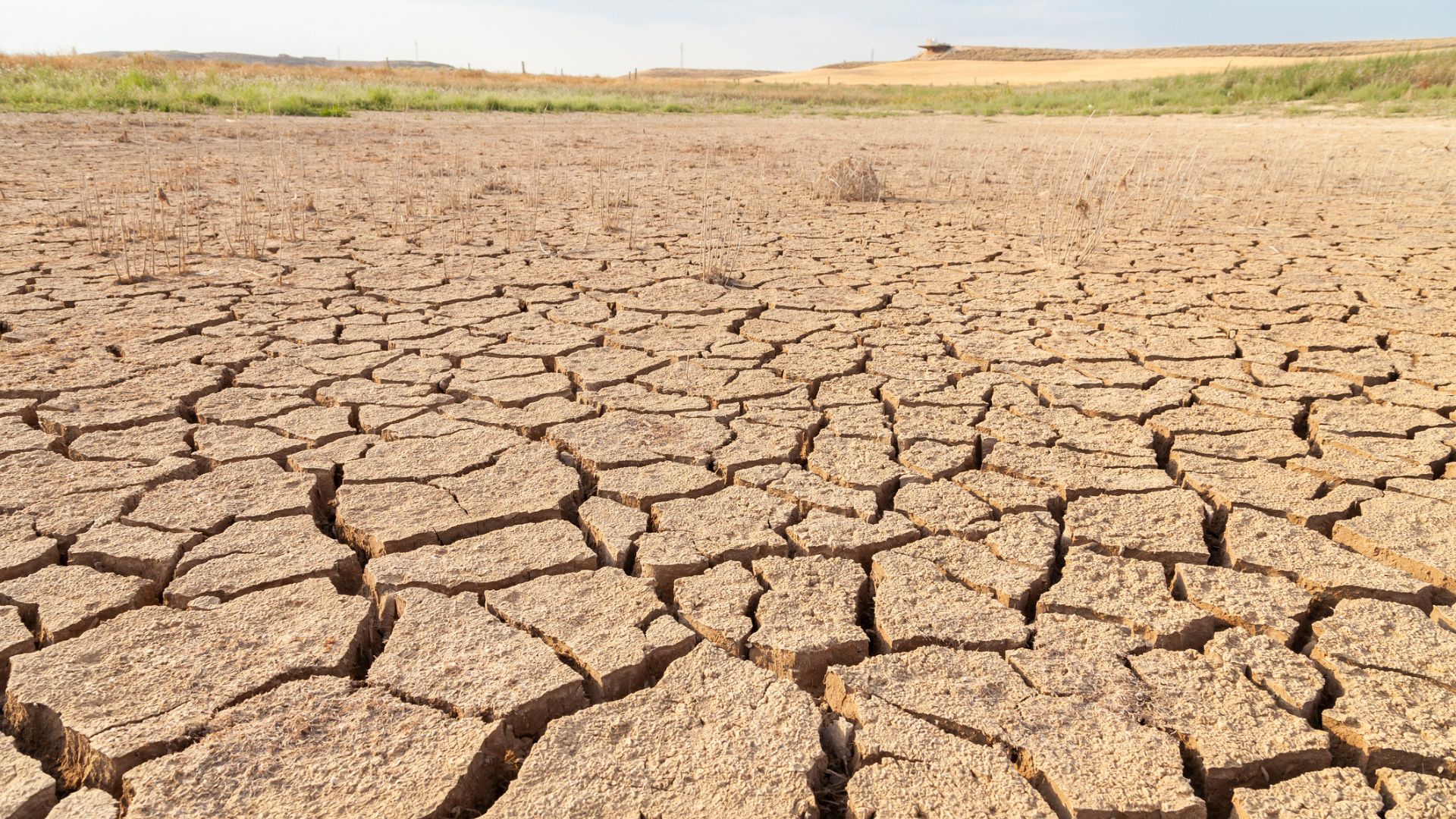 efectos de la desertificacion