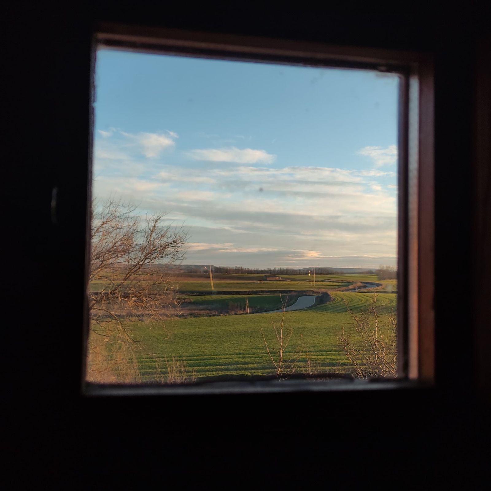 El bosque habitado - El discurso de la tierra - 18/01/26