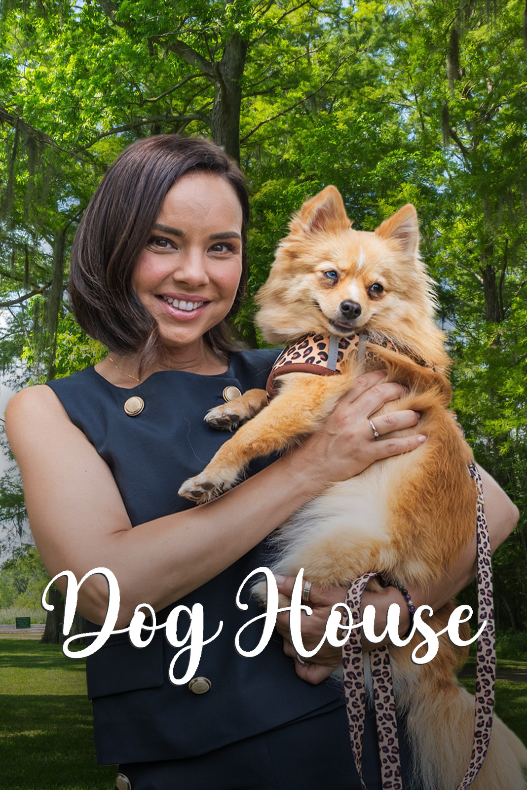 Dog House
