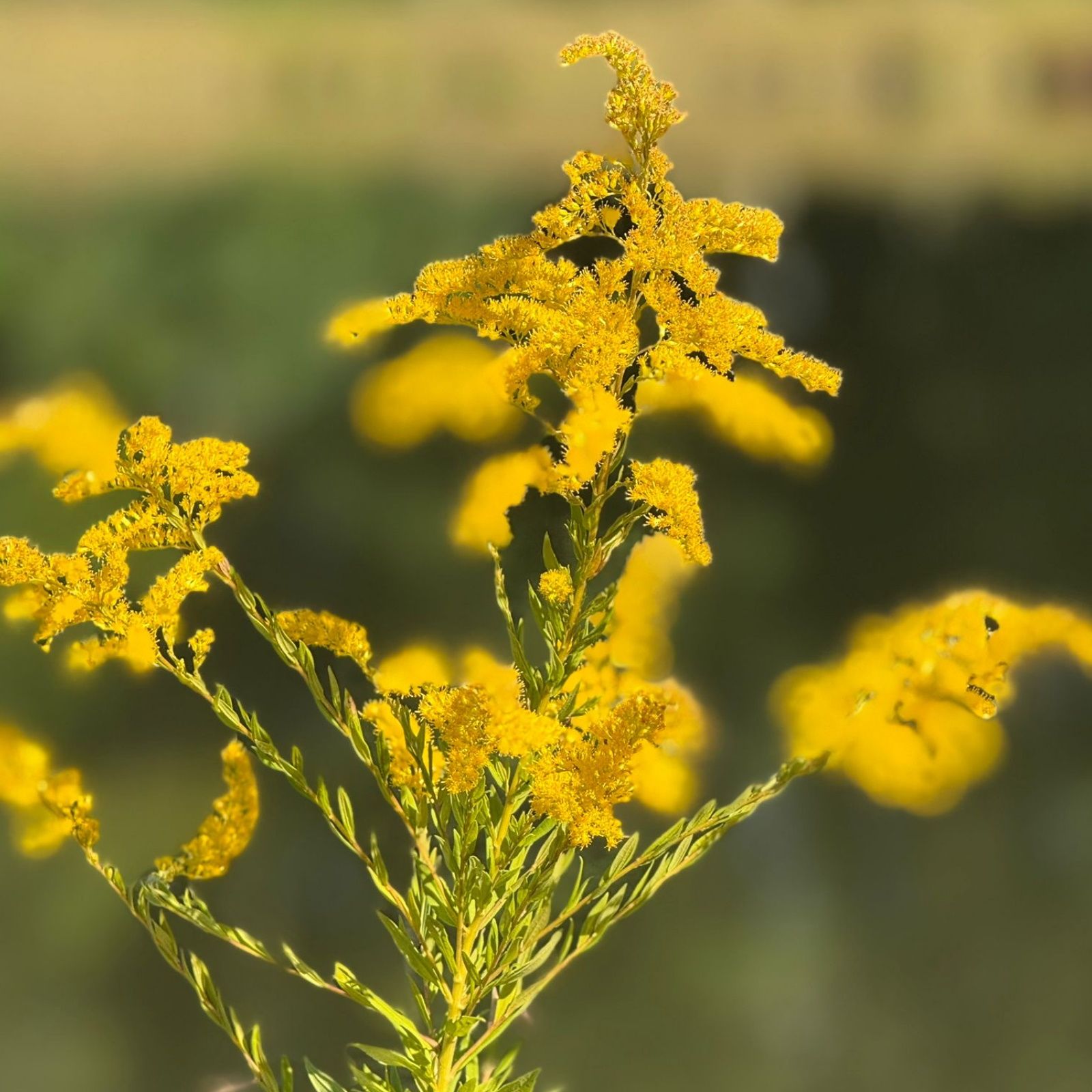Alguien debería prohibir los domingos por la tarde - Domingo con Ala.ni - 28/09/25 Alguien debería prohibir los domingos por la tarde - Domingo con Ala.ni - 28/09/25