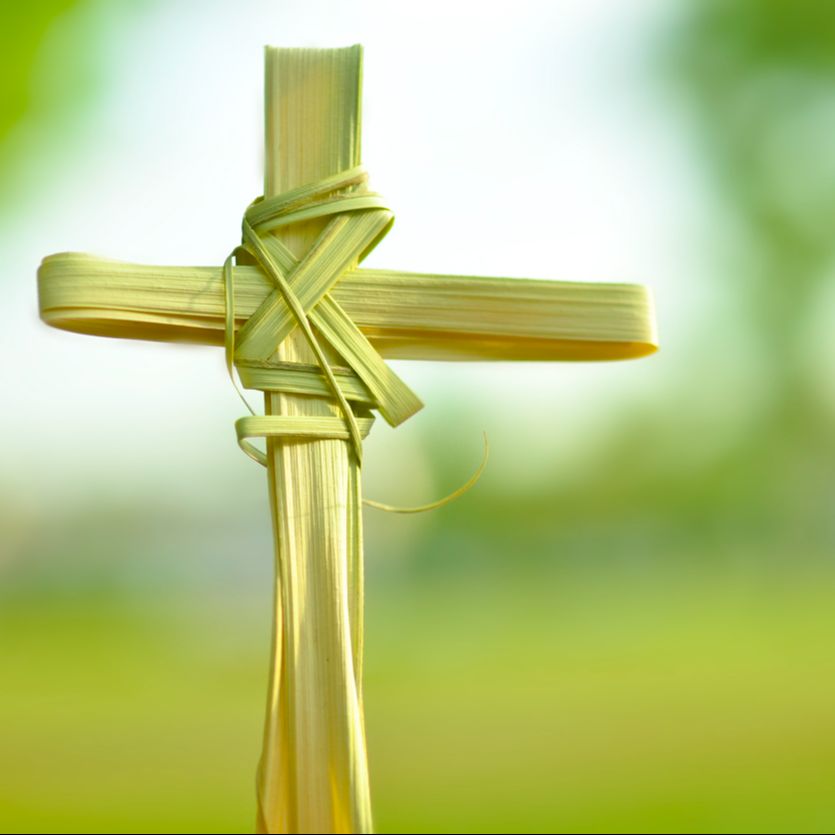 Sicut luna perfecta - Domingo de Ramos. Comenzamos la Semana Santa - 12/04/25