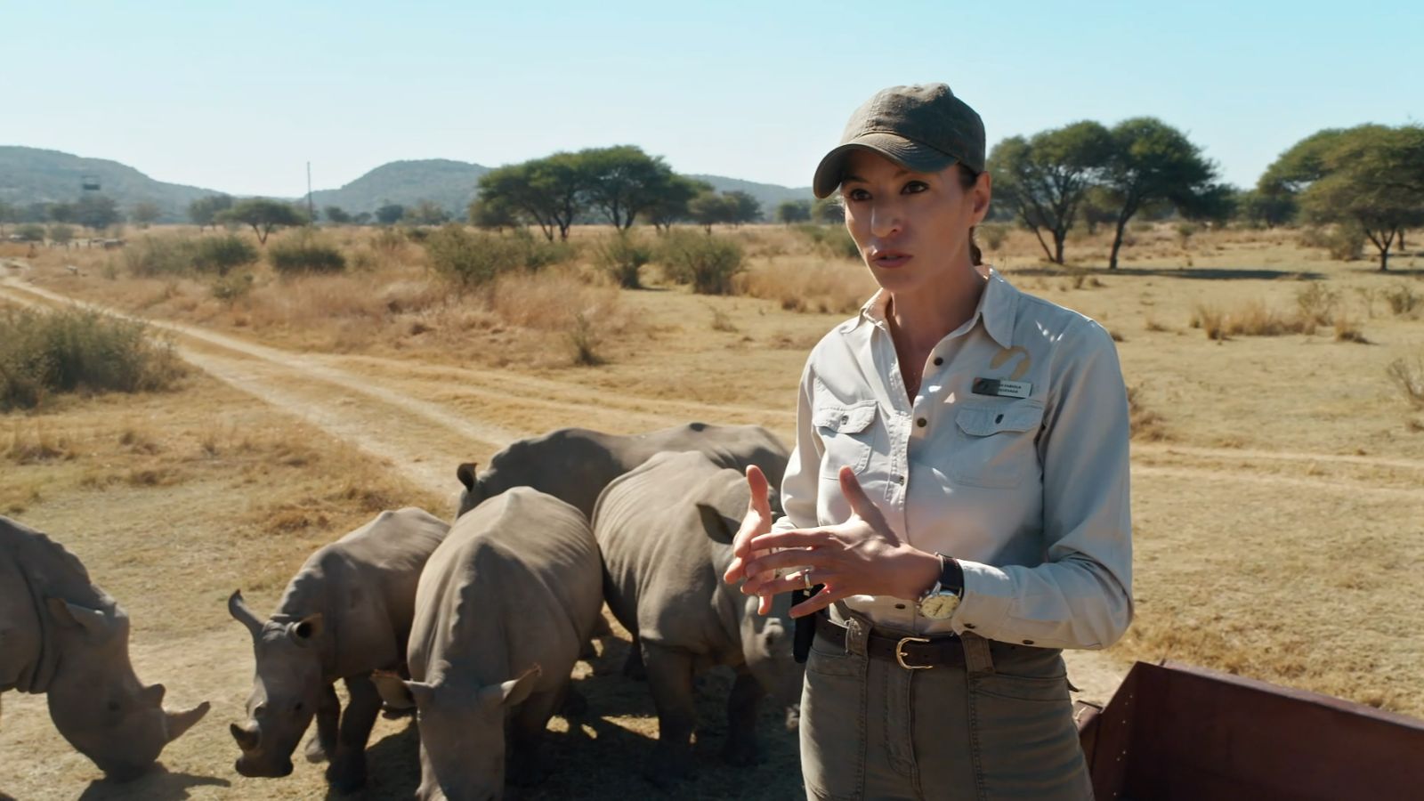 Emisi�n en directo de  de RTVE