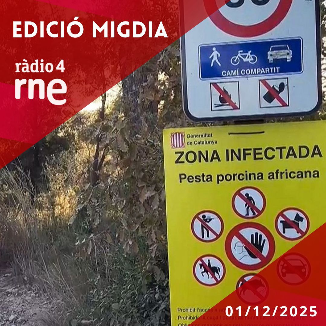 Edició Migdia - 01/12/2025