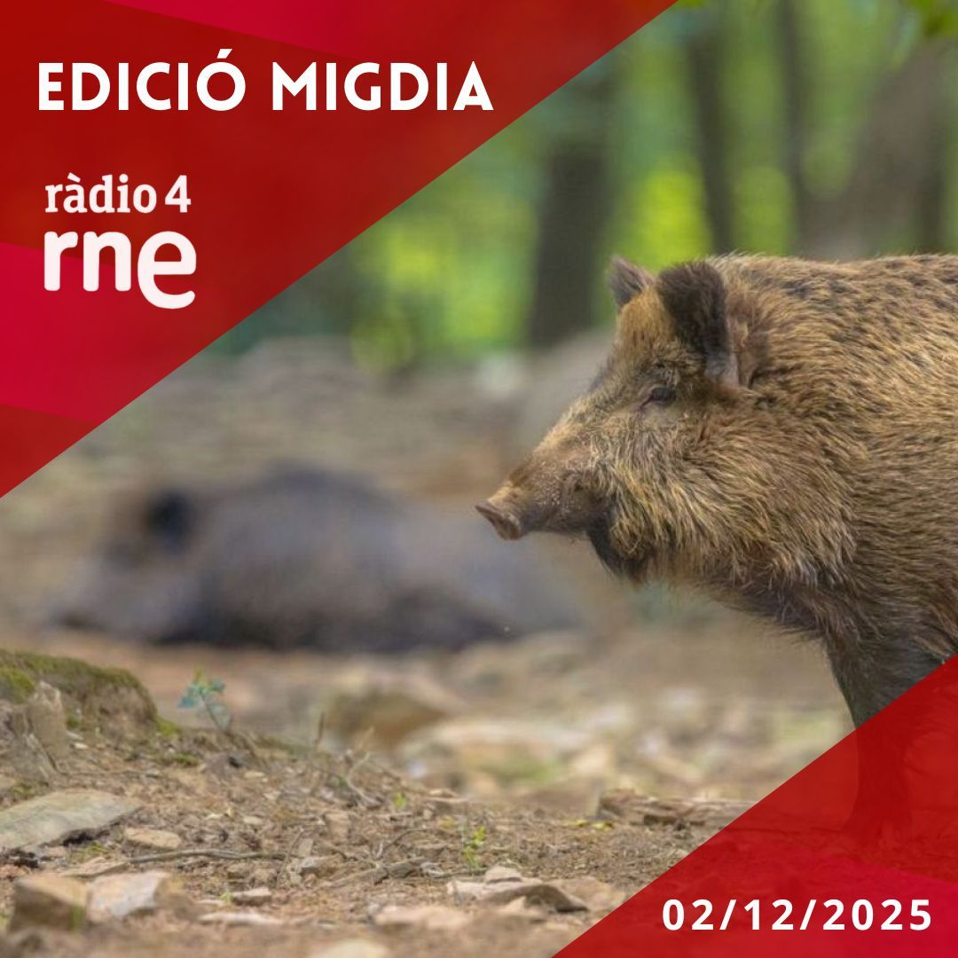 Edició Migdia - 02/12/2025