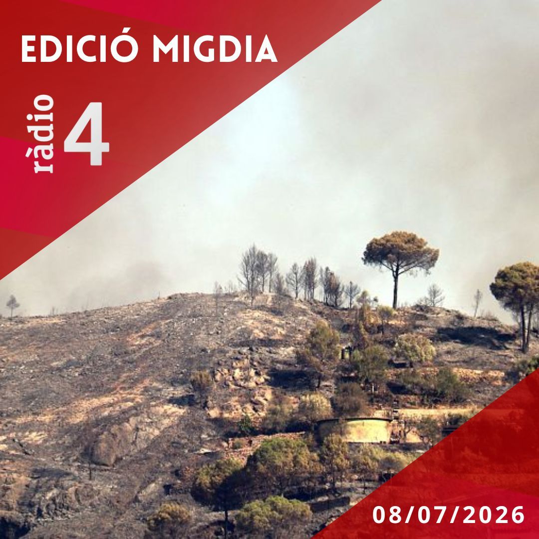 Edició Migdia - 08/07/2026 episode artwork