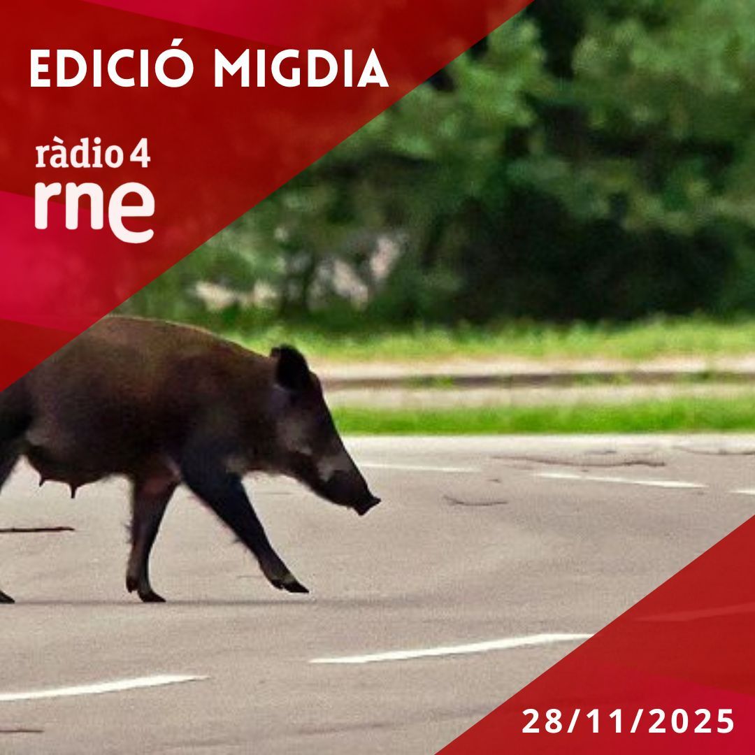 Edició Migdia - 28/11/2025 Edició Migdia - 28/11/2025