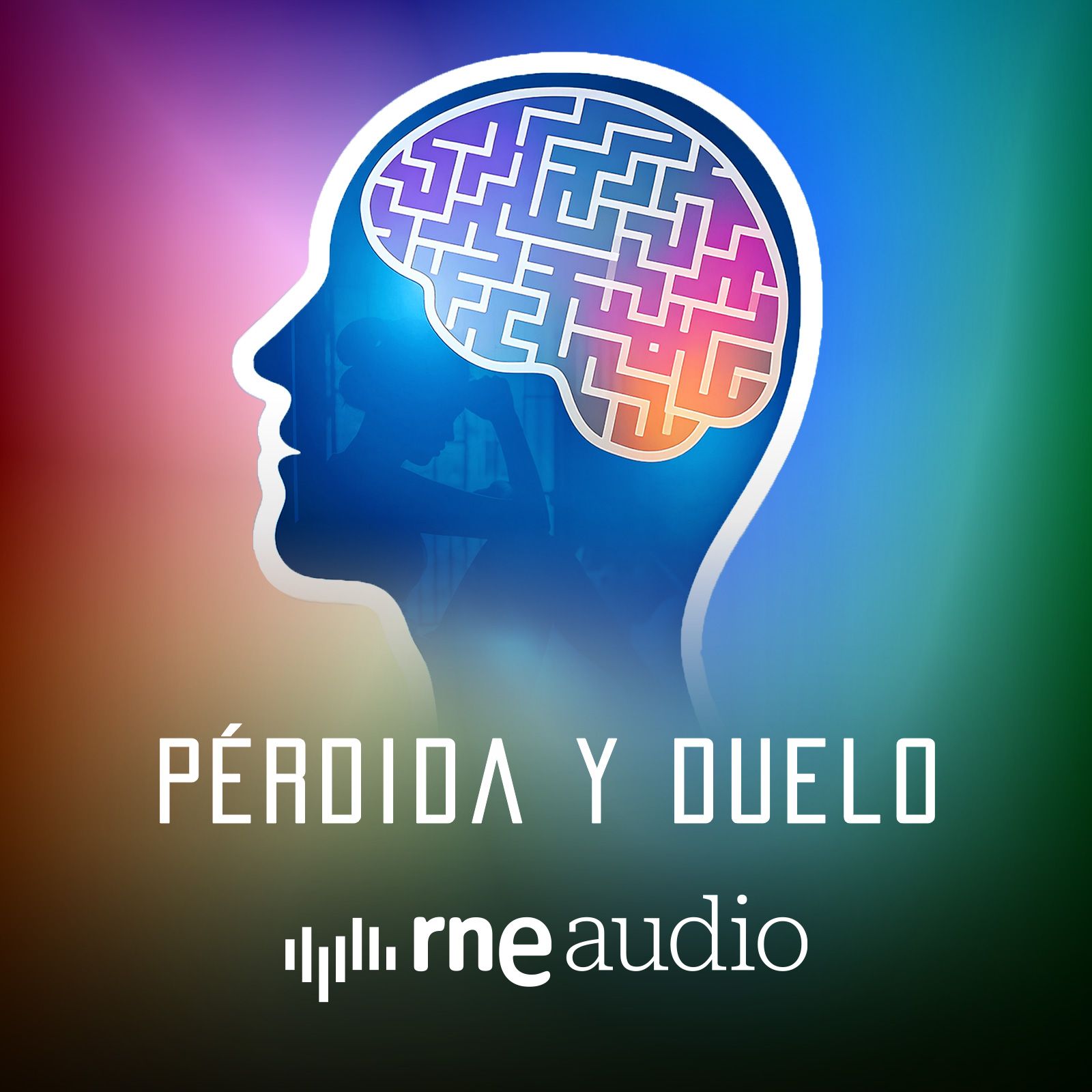 Educando emociones - Las pérdidas y los duelos