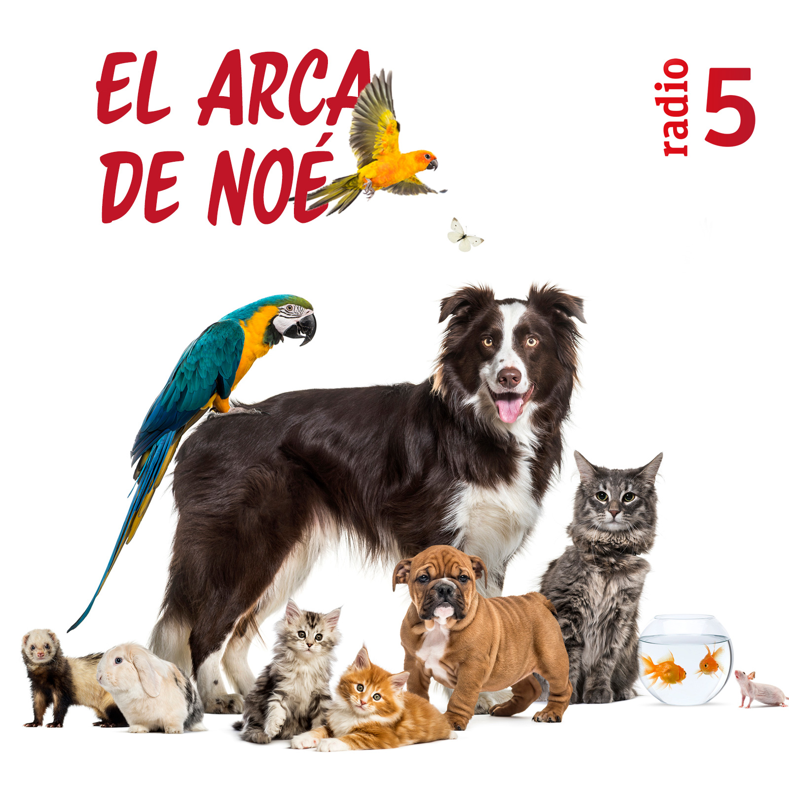 El arca de Noé