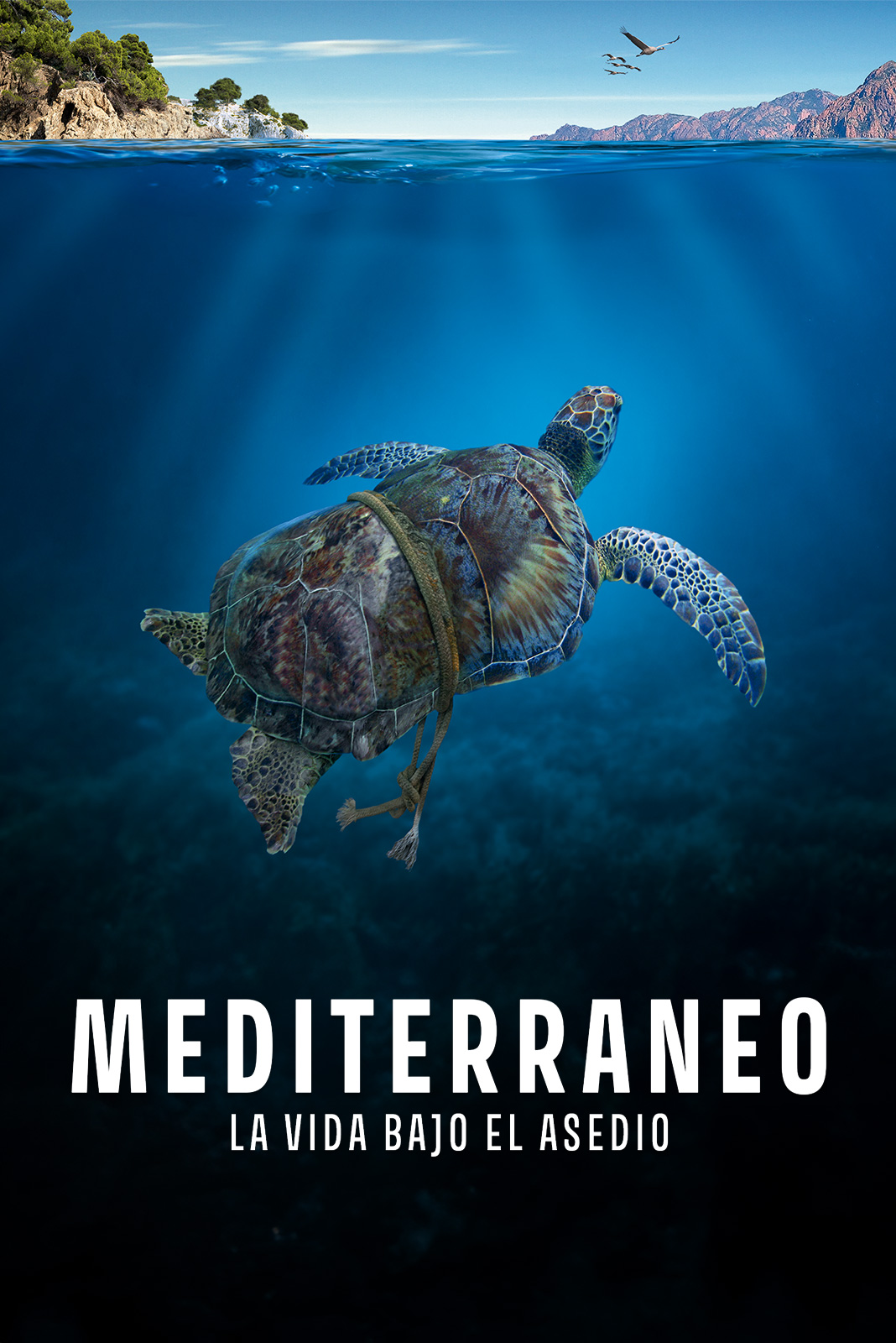 El Mediterráneo, la vida bajo asedio