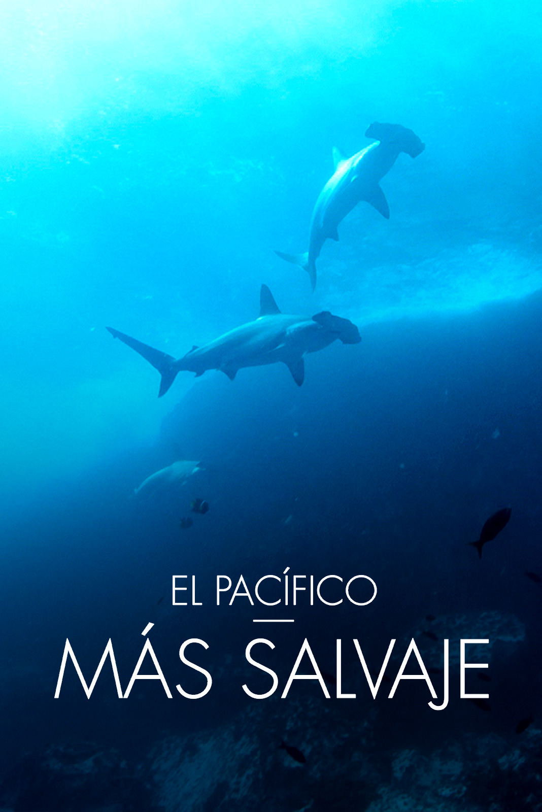 El Pacífico más salvaje