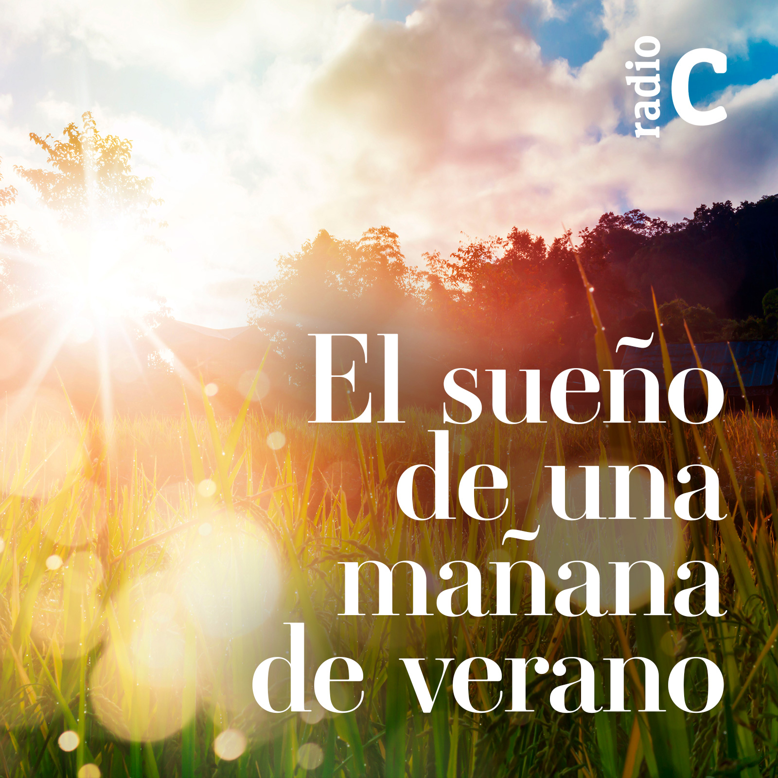 El sueño de una mañana de verano