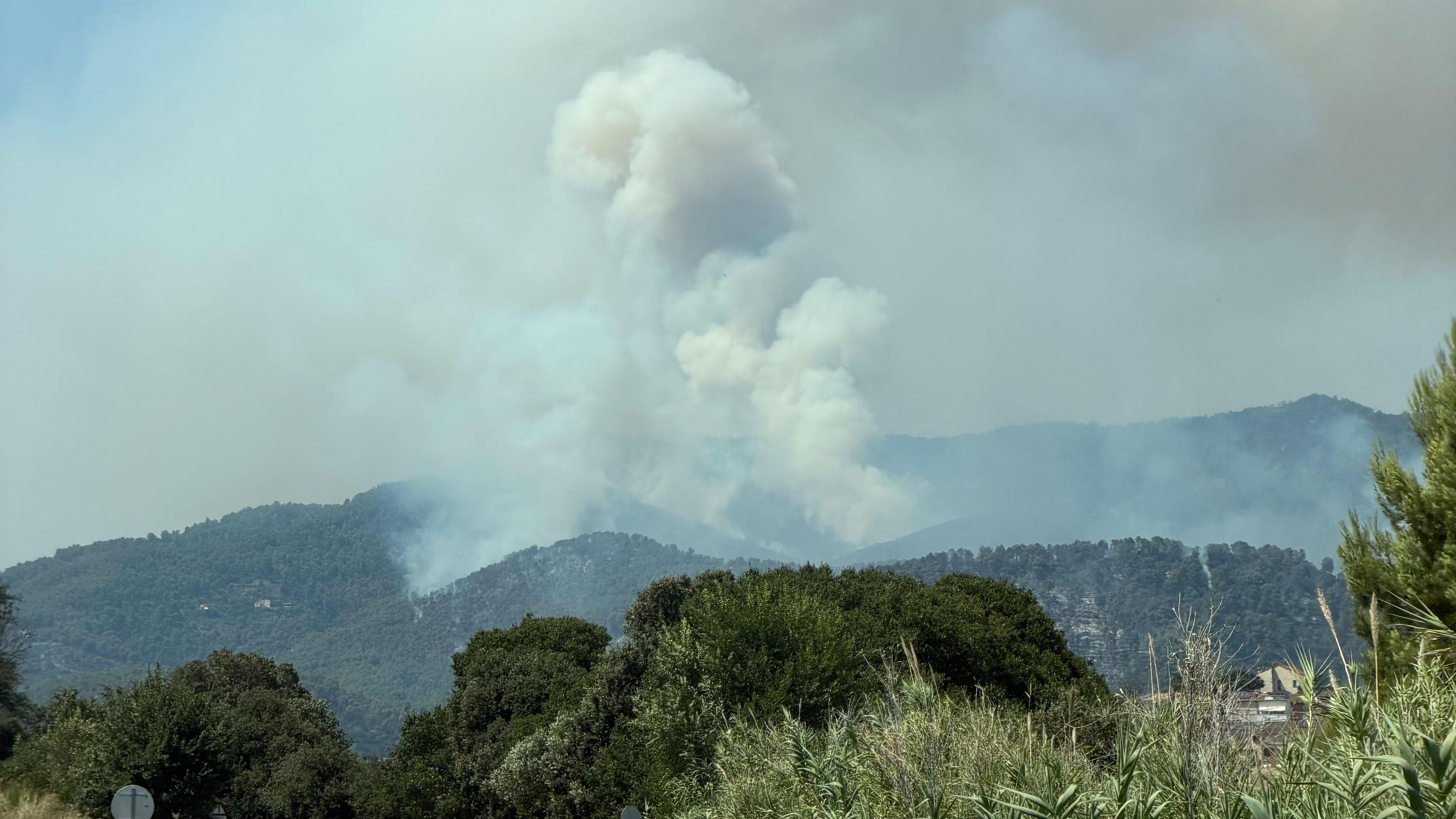 Els incendis tornen a posar a prova el model forestal episode artwork