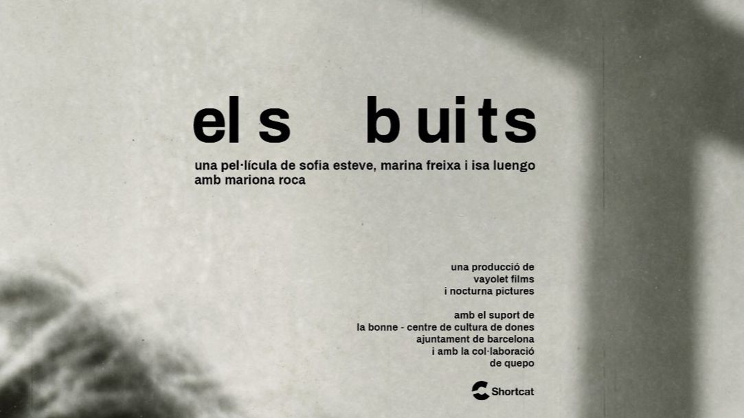 Cartel de la película