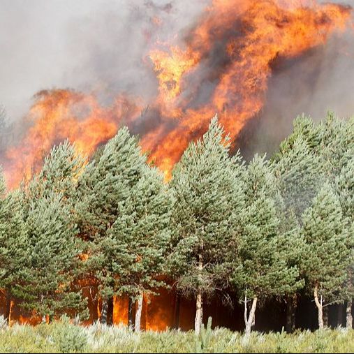 Emisión en árabe - Los incendios activos en España, motivos y medidas - 22/08/25 Emisión en árabe - Los incendios activos en España, motivos y medidas - 22/08/25
