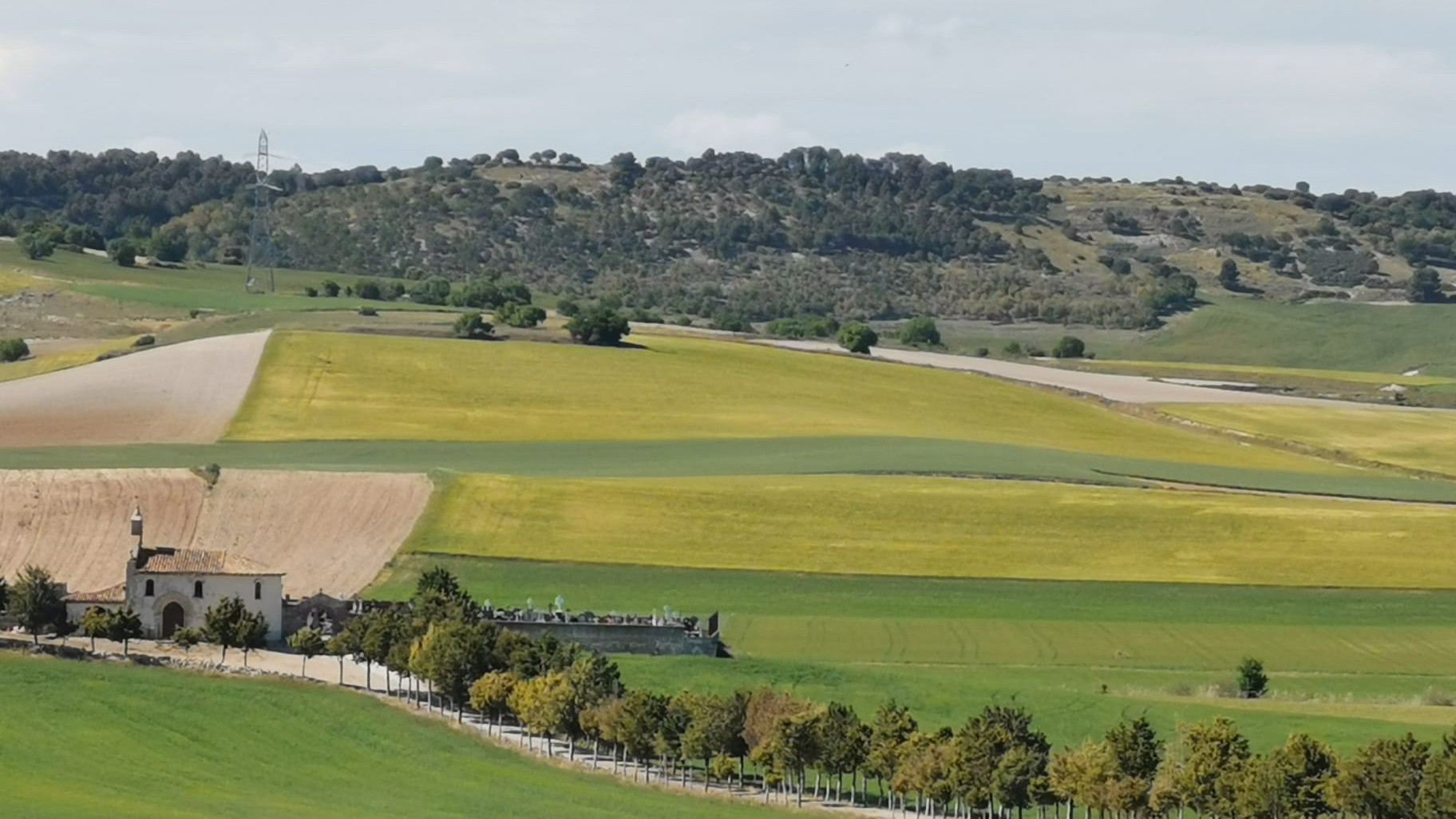 El encanto de Cevico de la Torre (Palencia) Atlas de lo pequeño