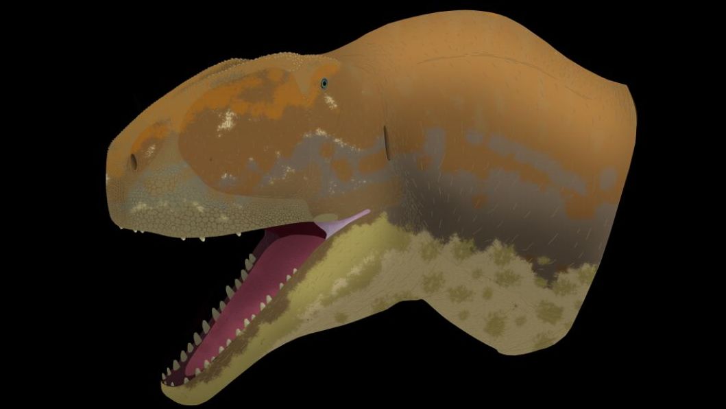 Guadalajara revela un tesoro fósil: 40 dientes de Majungasaurinae reescriben la historia de los dinosaurios en Europa