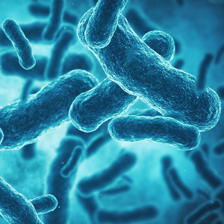 English Language Broadcast - The gene creating antibiotic resistant bacteria English Language Broadcast - The gene creating antibiotic resistant bacteria
