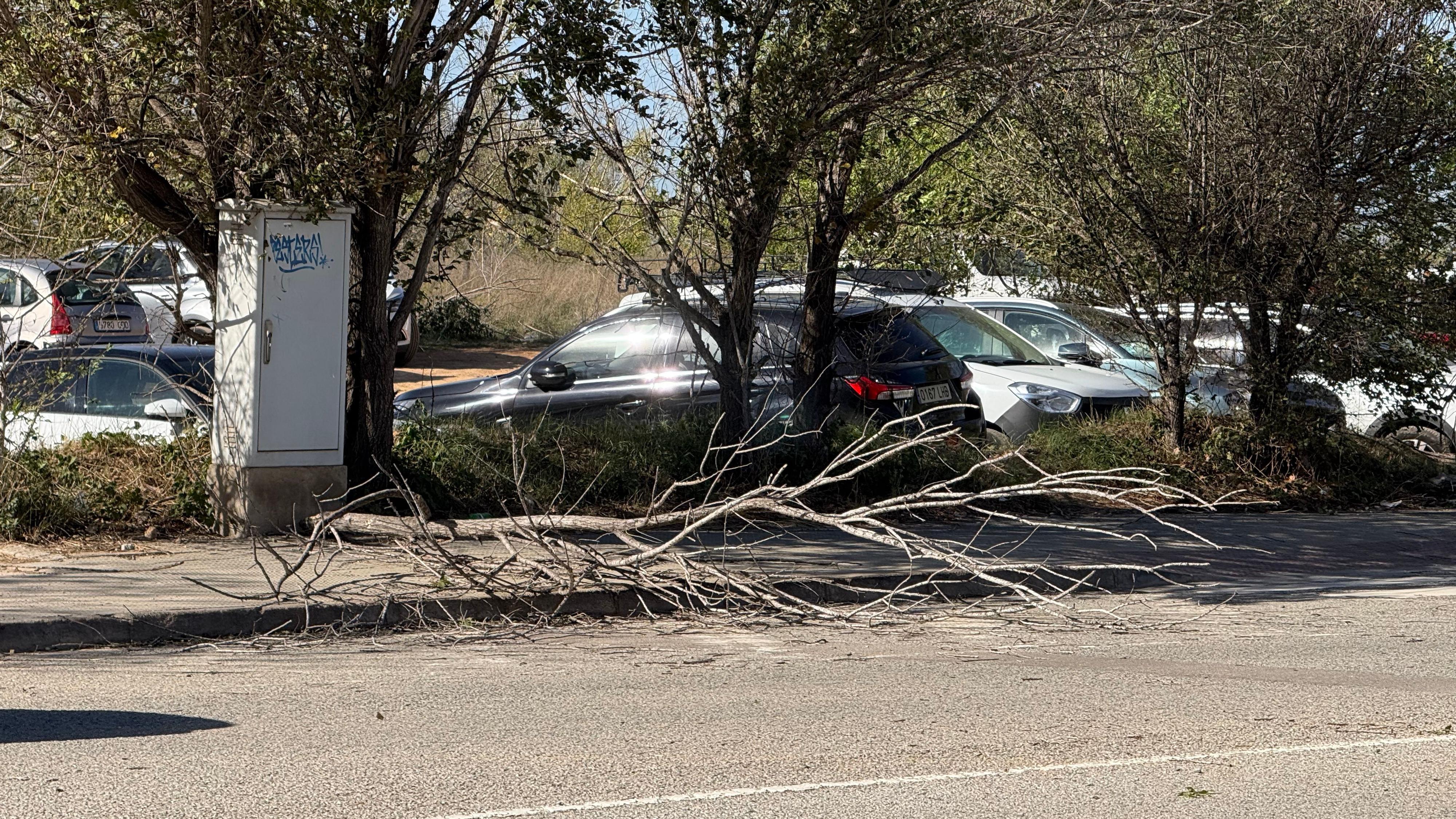 Enguany viurem un hivern atípic