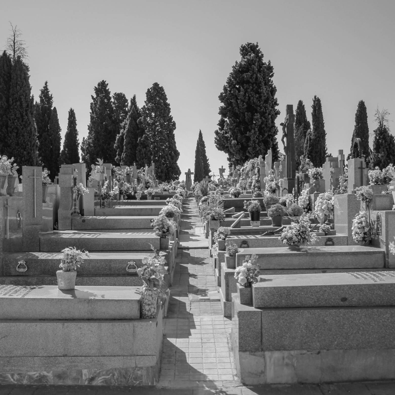 Espacio en blanco - Entre tumbas - 25/01/26