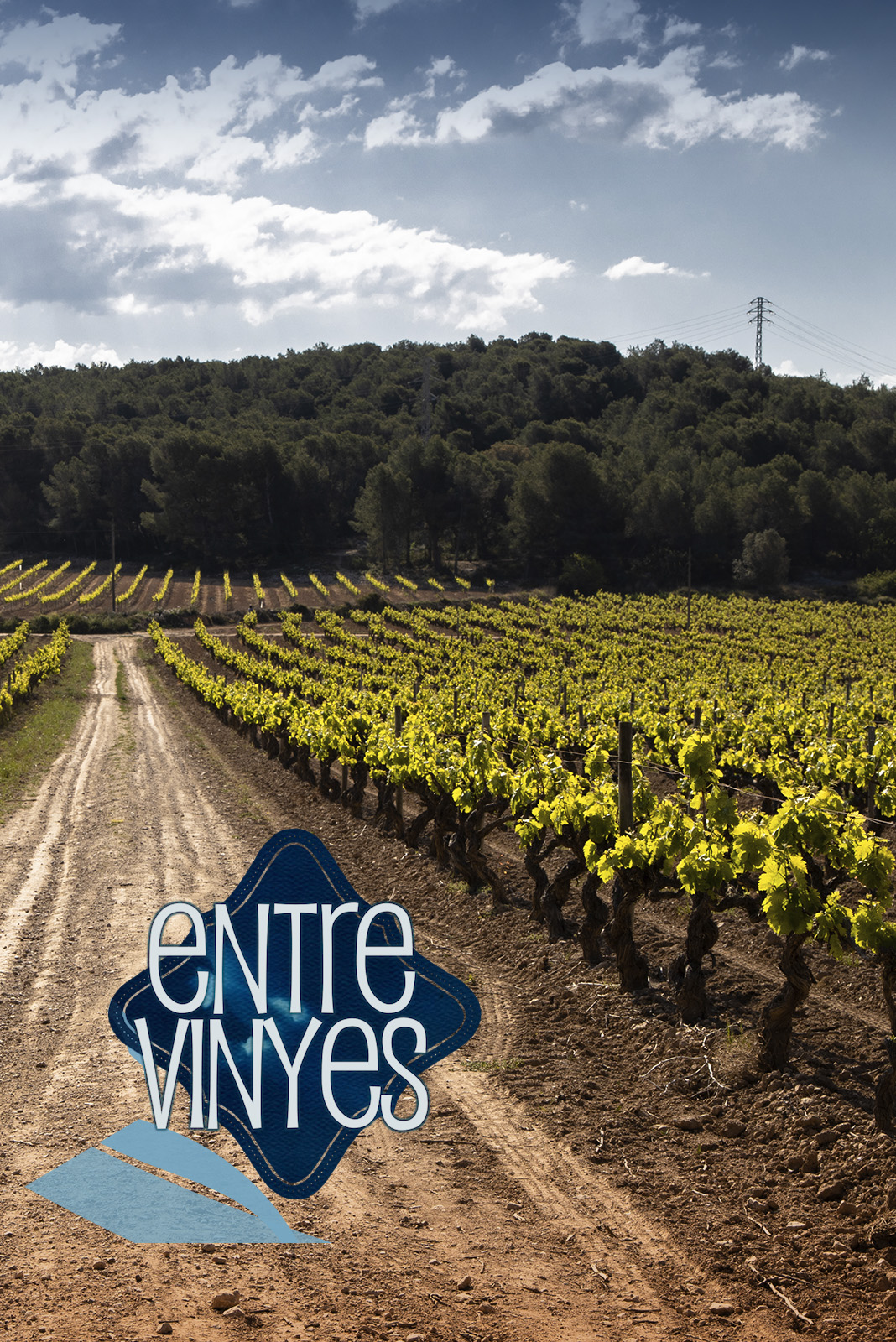 Entre vinyes