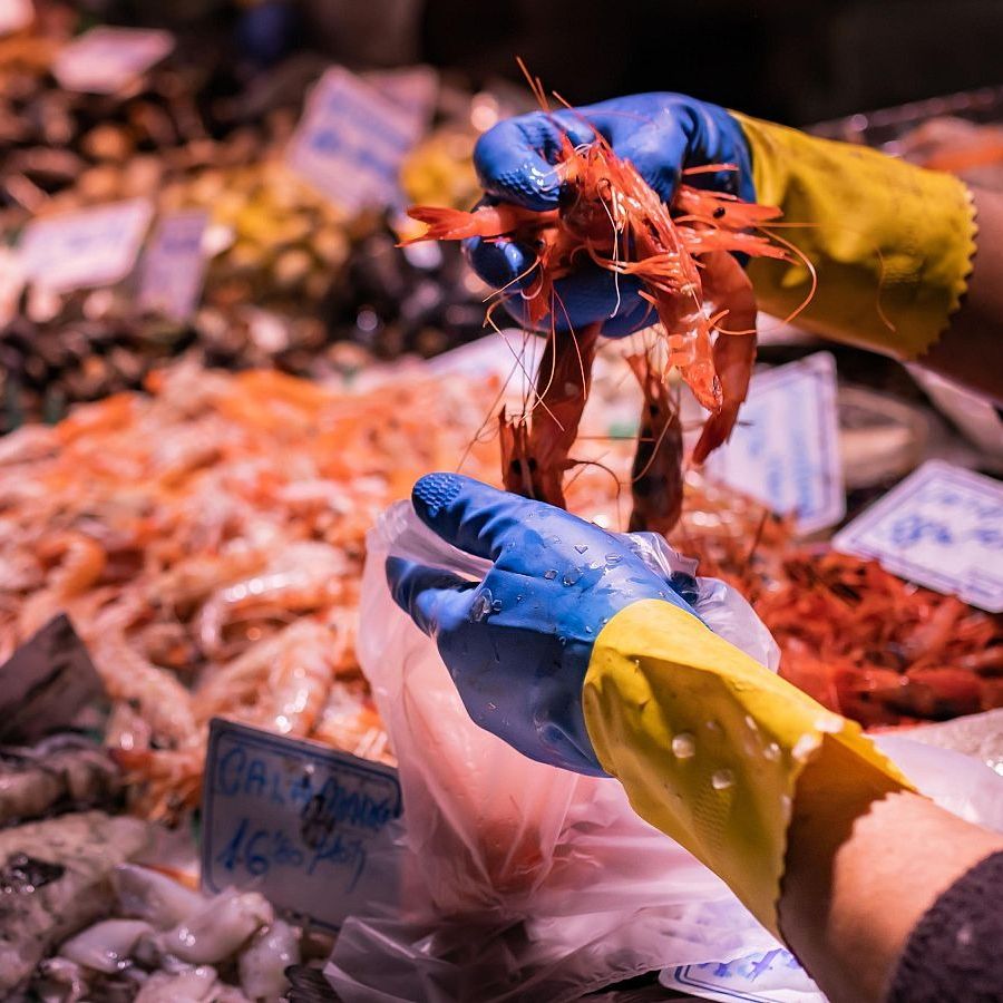 Entrevista Àlex Goñi, president del Gremi de Peixaters de Catalunya