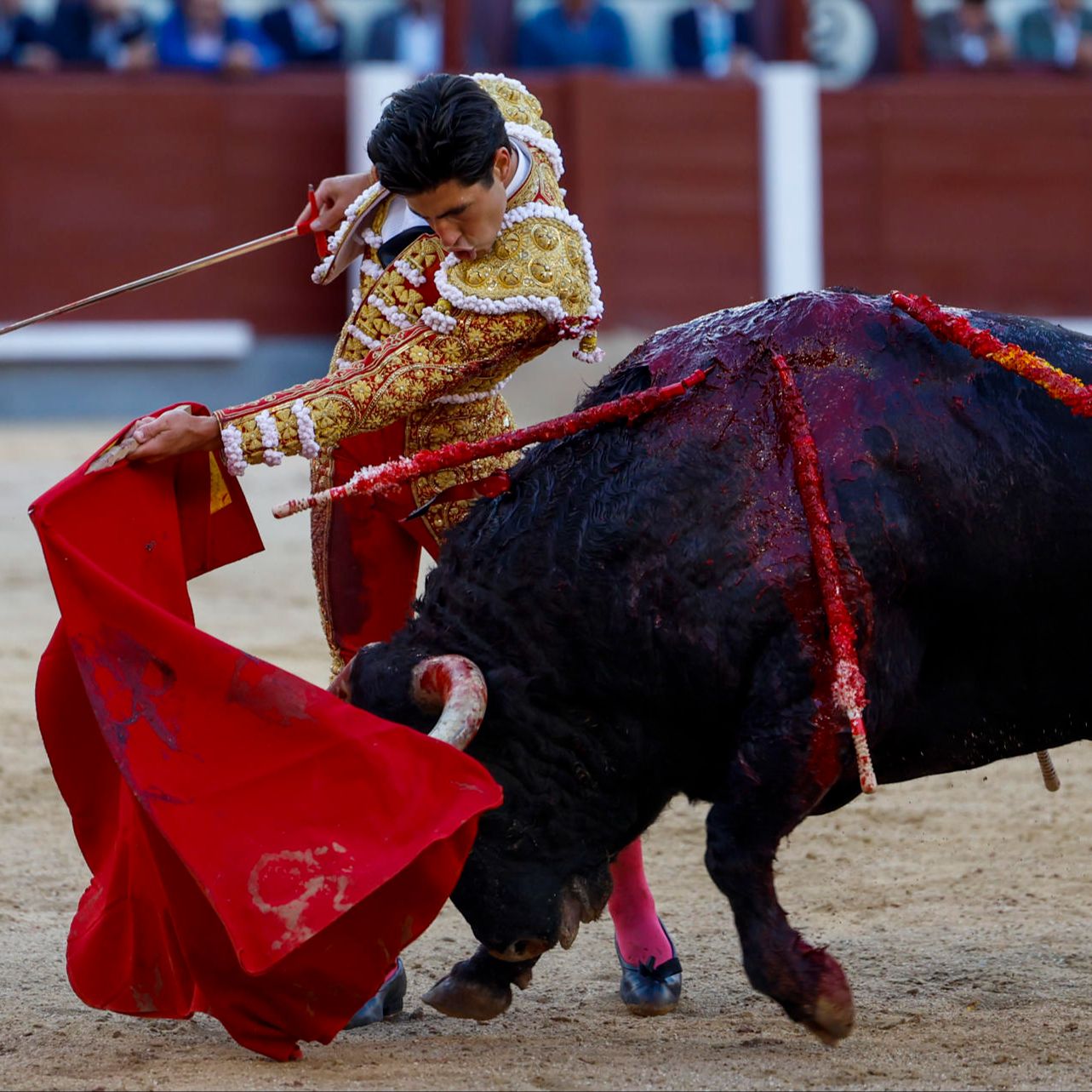 Entrevista a Álvaro Lorenzo, Corrida de Primavera en Pozoblanco, Comienzo de la Copa Chenel y lo mejor de la Gala de la Oreja de Oro