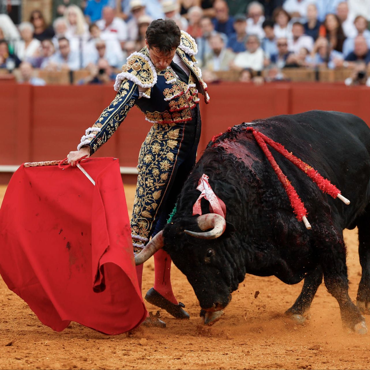 Entrevista a Daniel Luque, Goya a Tardes de soledad, Medalla a Morante y tertulia sobre espectáculos cómico-taurinos Entrevista a Daniel Luque, Goya a Tardes de soledad, Medalla a Morante y tertulia sobre espectáculos cómico-taurinos