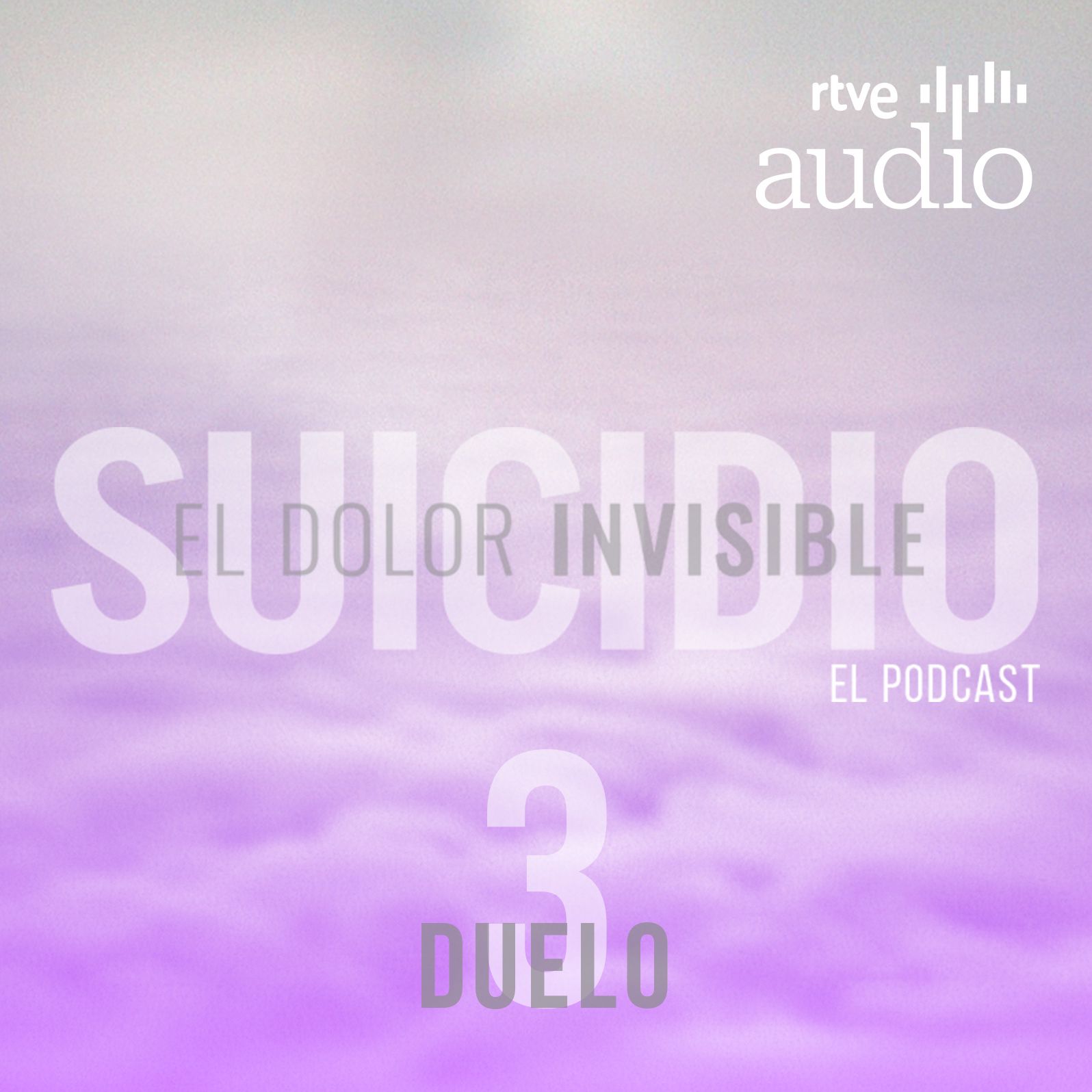 Suicidio, el dolor invisible. El podcast - Episodio 3: Duelo