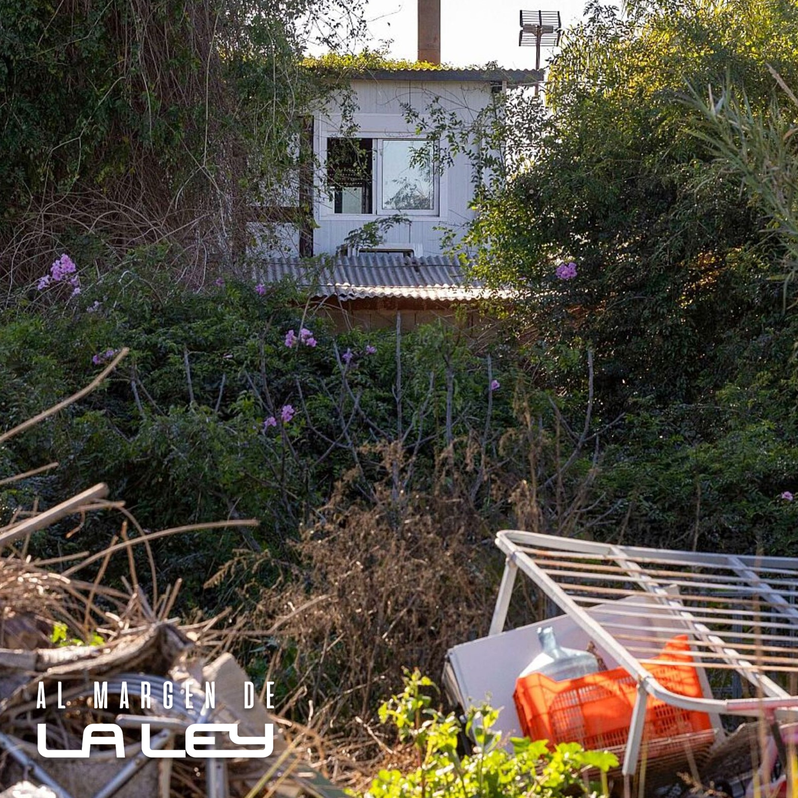 Al margen de la ley - 2x25 - Escapa tras 2 años raptada y el juicio de Diego Bello