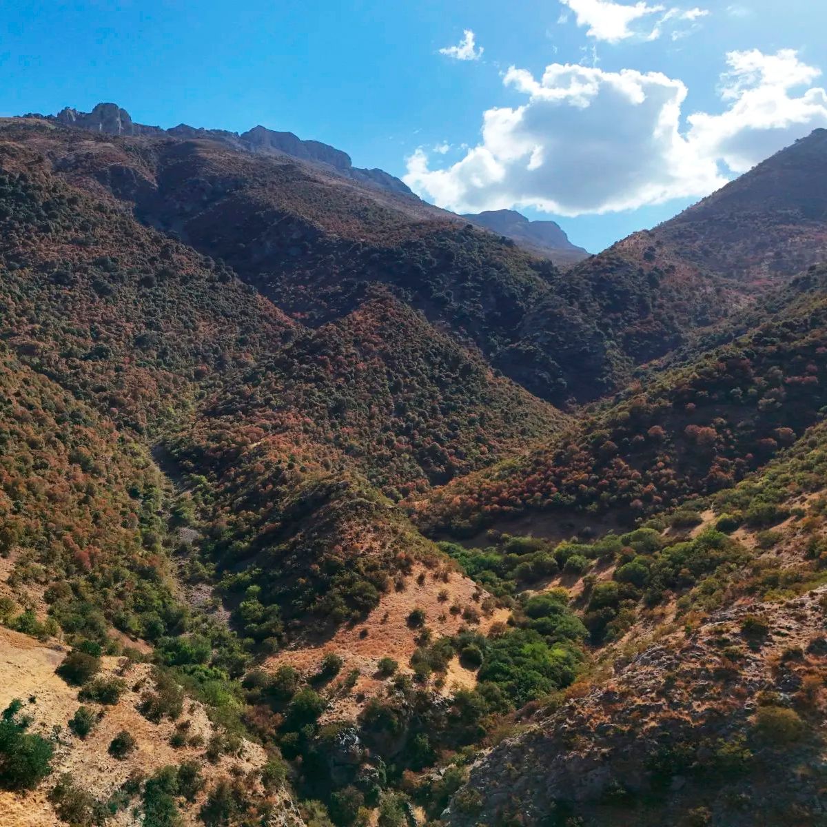 Escapadas - El cornetal del Barranco del Perú - 19/03/26 episode artwork