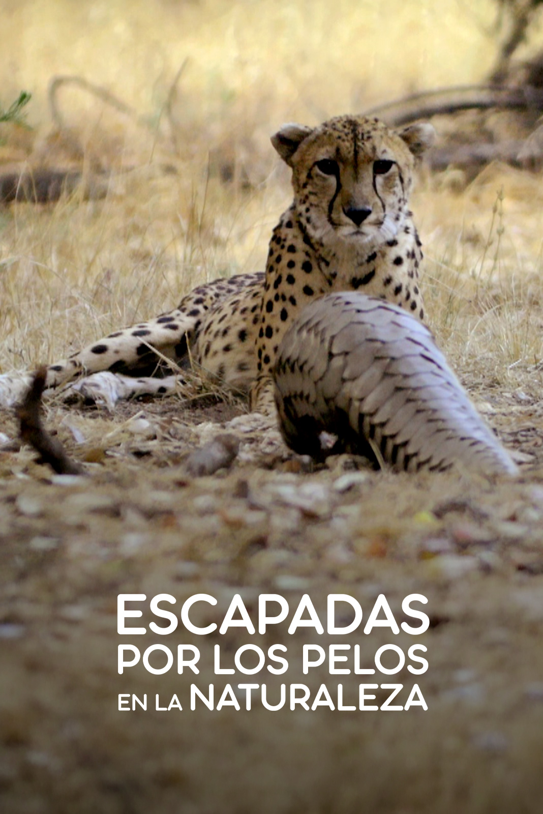 Escapadas por los pelos en la naturaleza