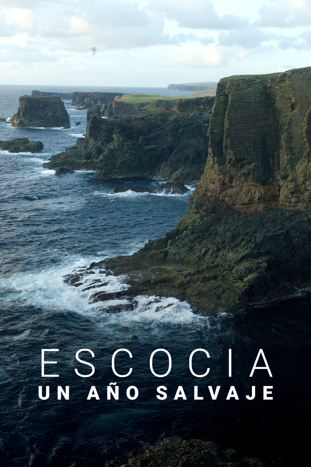 Escocia. Un año salvaje